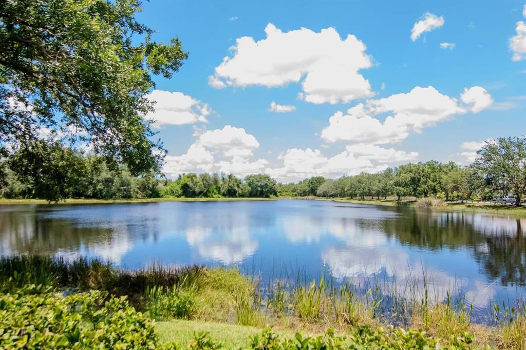 Bradenton, Florida, 34212, United States, 4 Bedrooms Bedrooms, ,4 BathroomsBathrooms,Residential,For Sale,1908693
