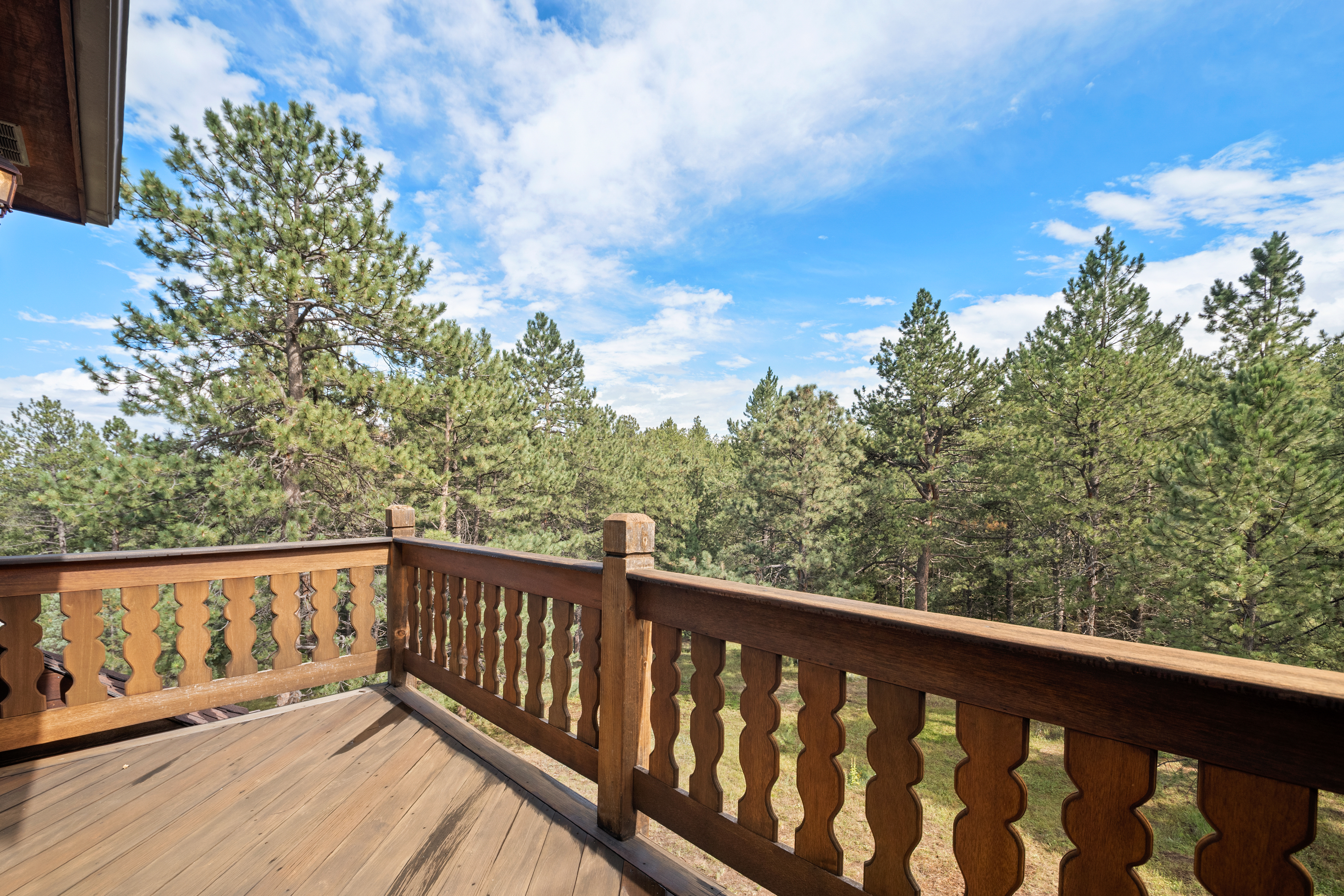  Perfect Blend of Space and Colorado Living That Backs to Pike National Forest - 物件實景