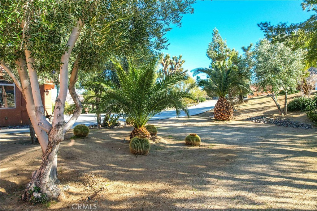61218 Sandalwood, Joshua Tree, California, 92252, United States, 3 Bedrooms Bedrooms, ,2 BathroomsBathrooms,Residential,For Sale,61218 Sandalwood,1619785