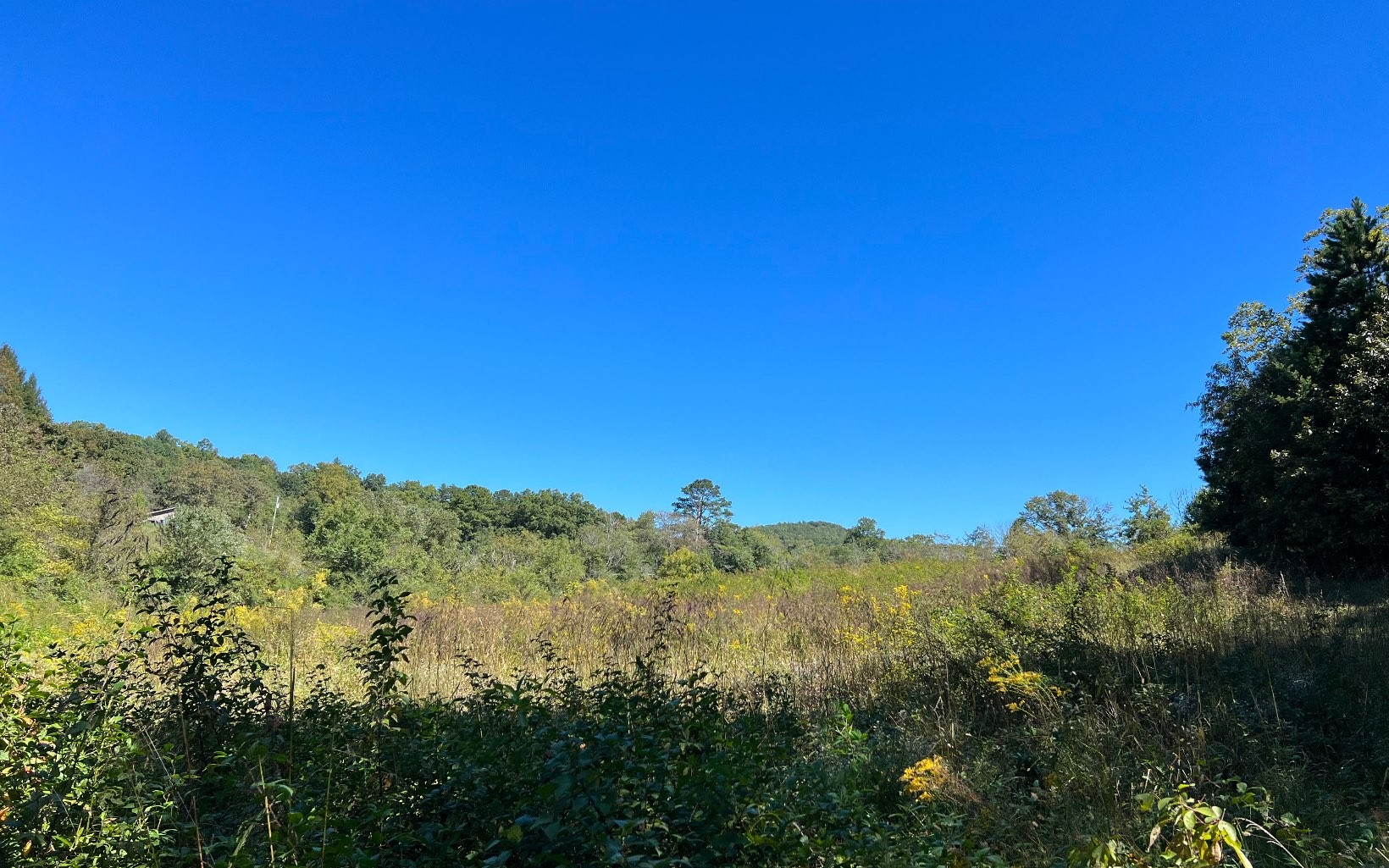 Hayesville, North Carolina, 28904, United States, ,Residential,For Sale,1943293