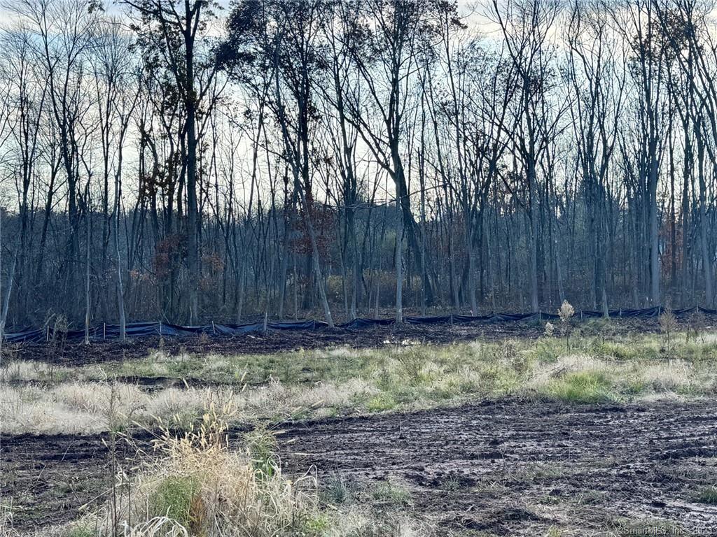 Newington, Connecticut, 06111, United States, ,Land,For Sale,1982448