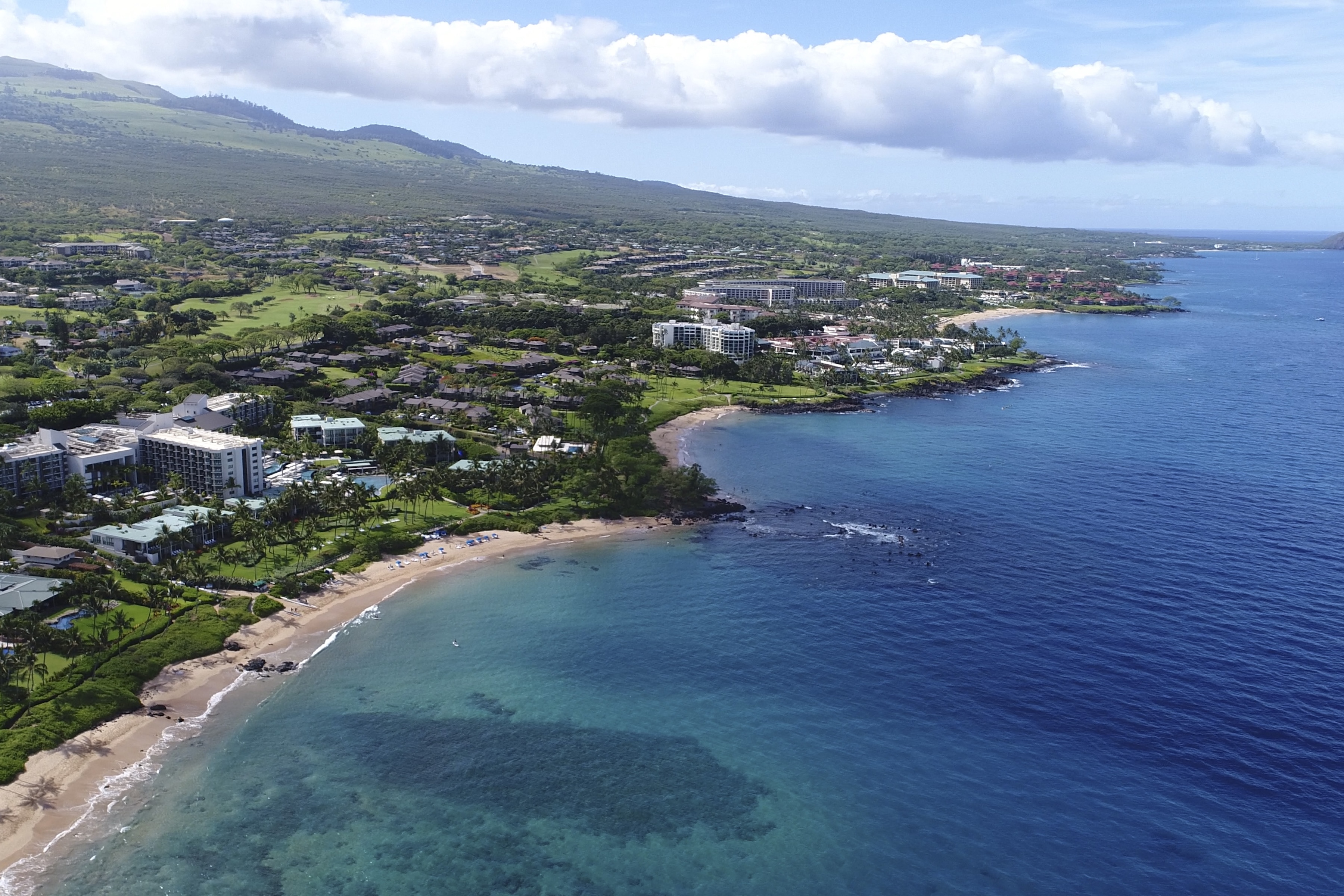  Maui Meadows Cozy 2-bedroom, 1-bathroom, 1/2 Acre Cottage - 物件實景