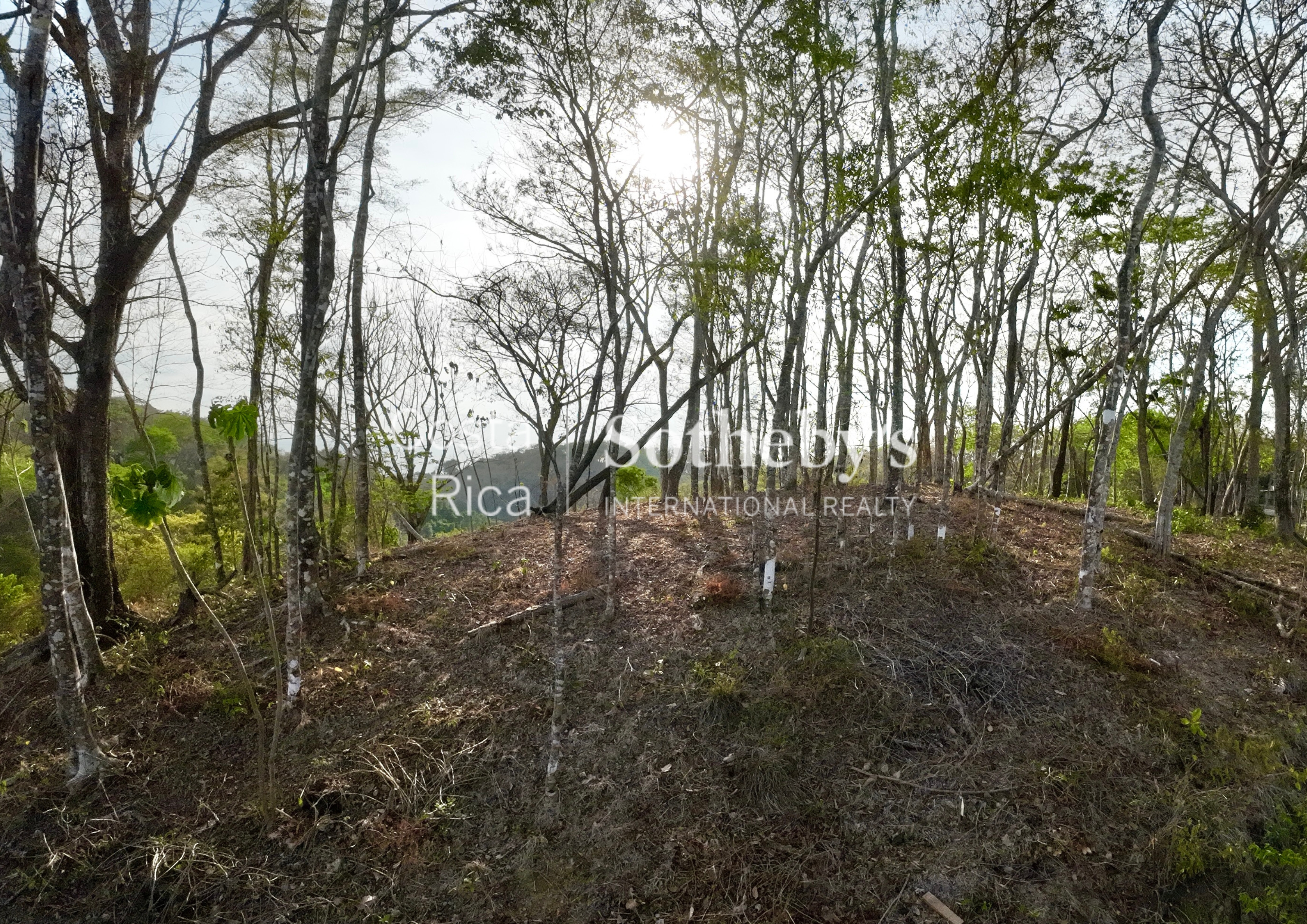  Idyllic Ocean View Lot in the Hills of Hermosa - 物件實景