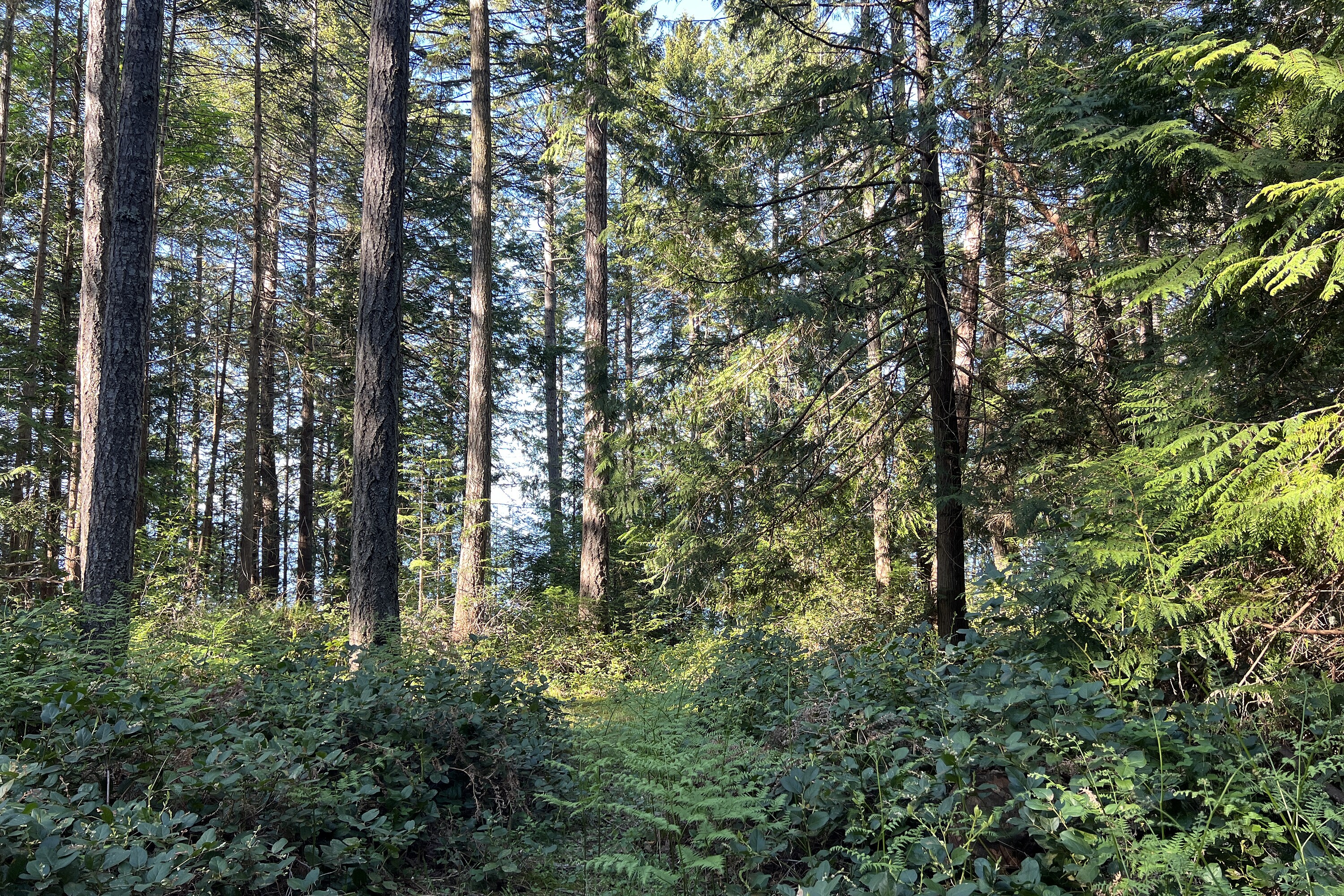 ObjectPhoto42