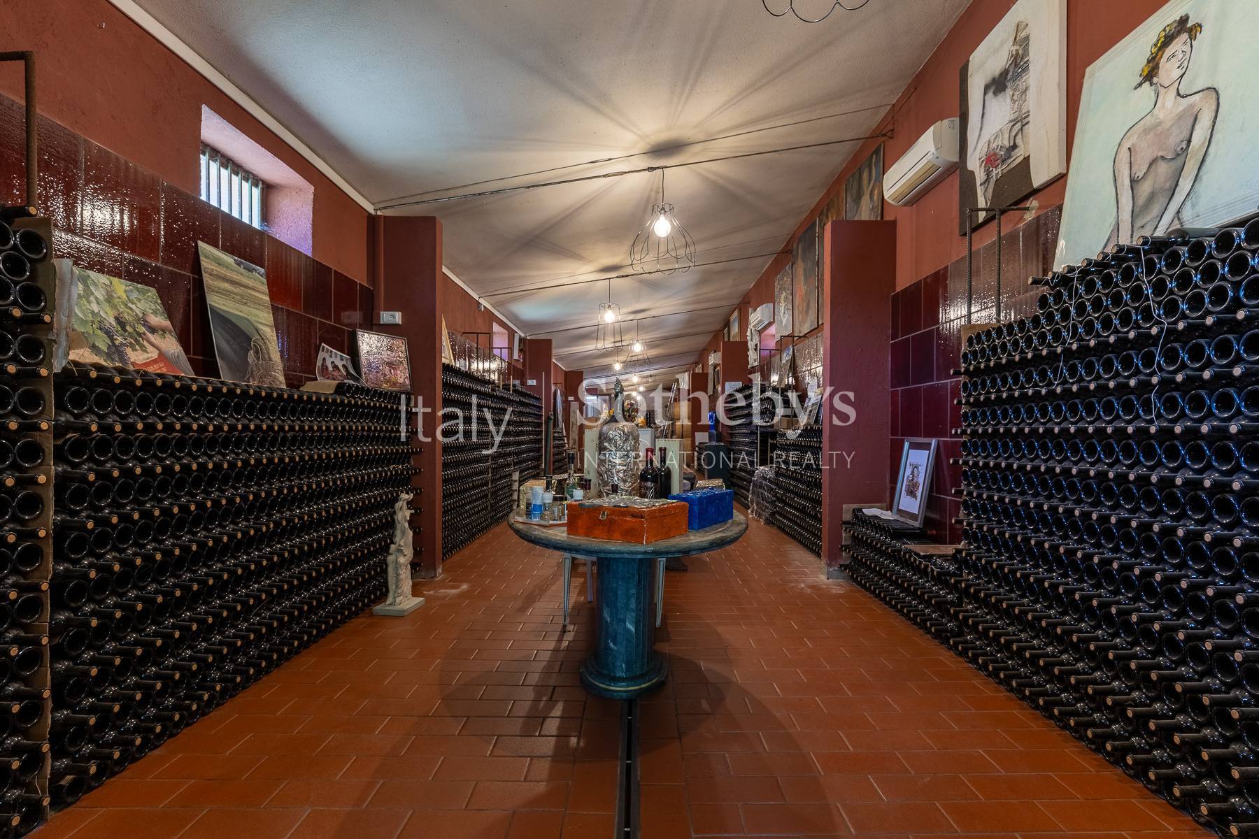  Estate with villa, swimming pool and organic vineyards - 物件實景