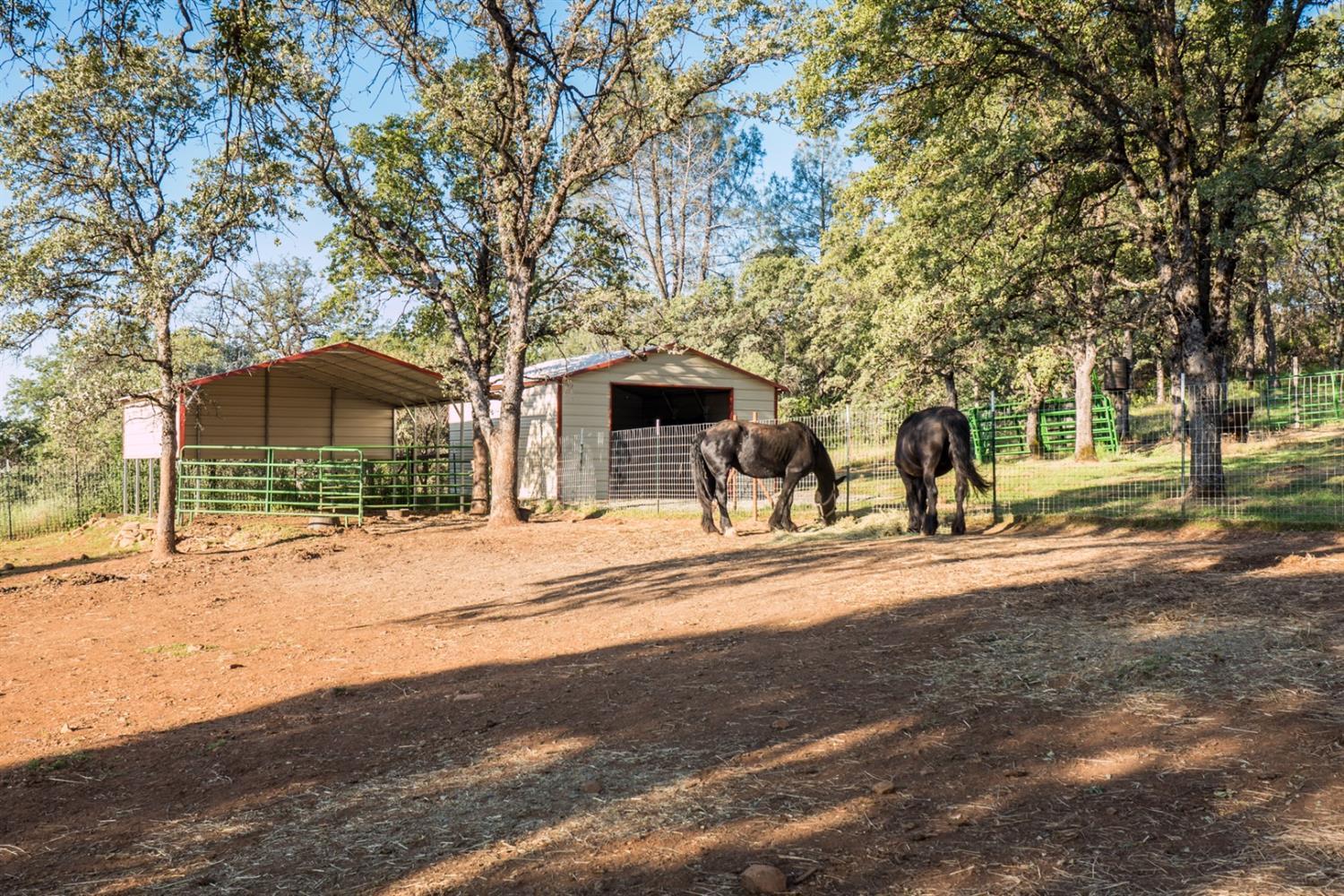Oregon House, California, 95962, United States, 4 Bedrooms Bedrooms, ,3 BathroomsBathrooms,Residential,For Sale,1976473