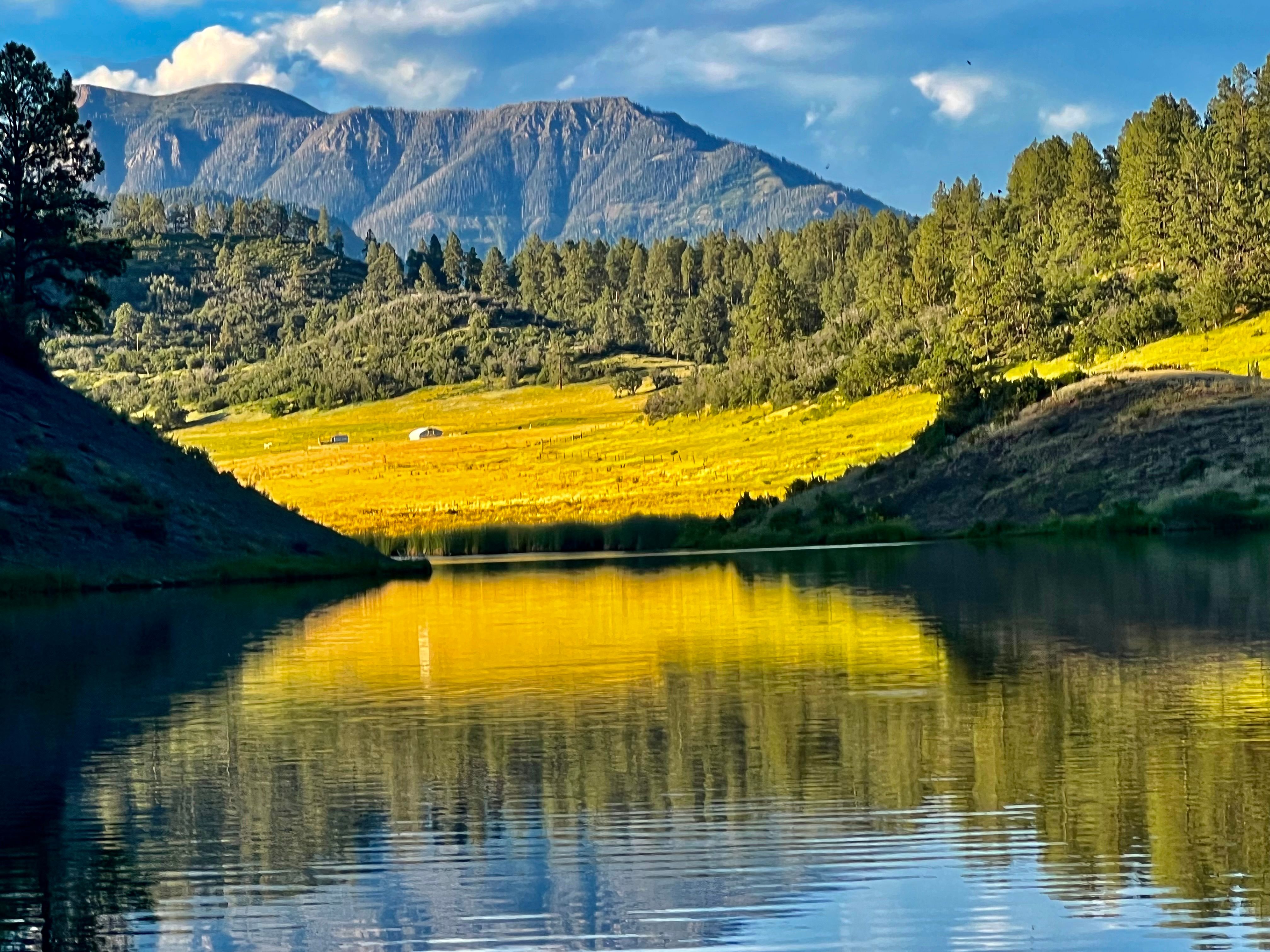  Elk Pointe Estate - 物件實景