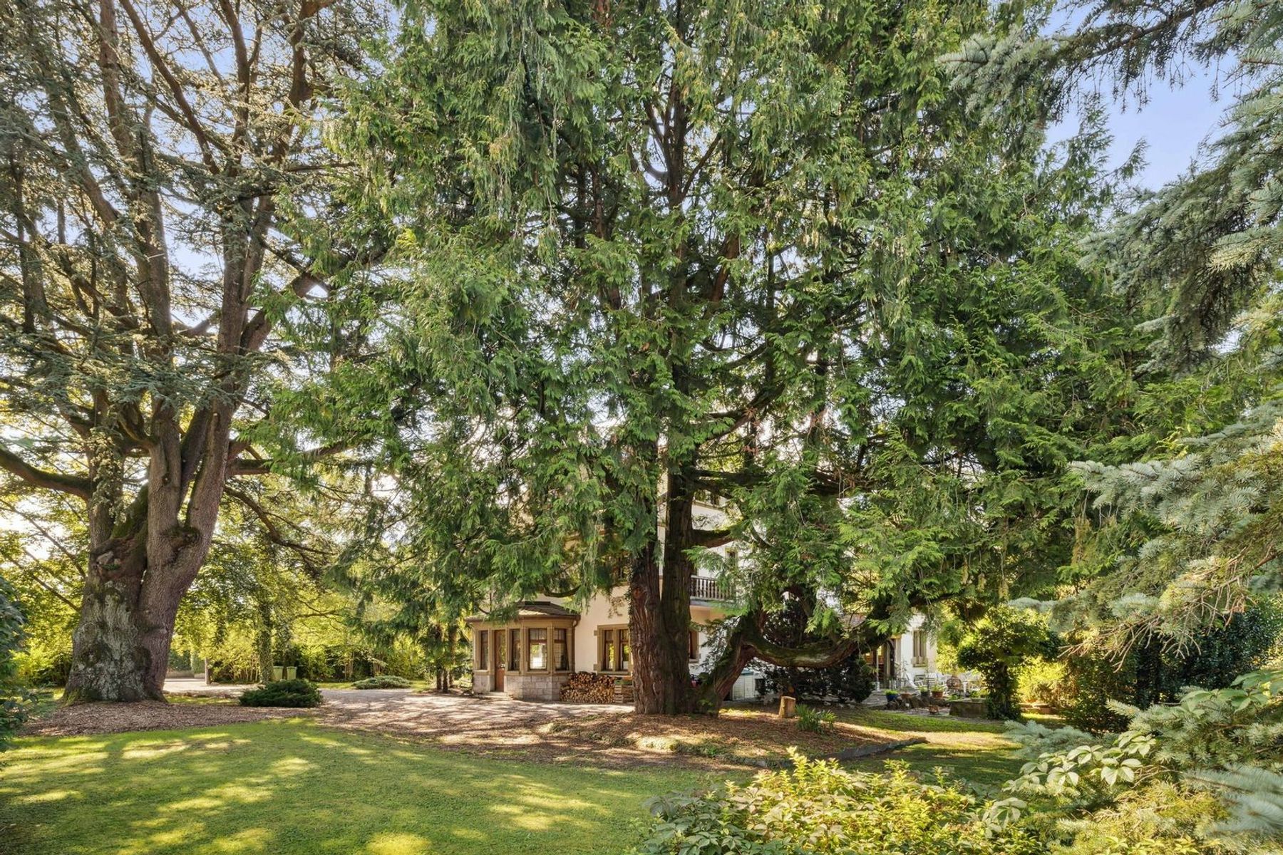  Renovated manor house, enchanting park with centuries-old trees - 物件實景