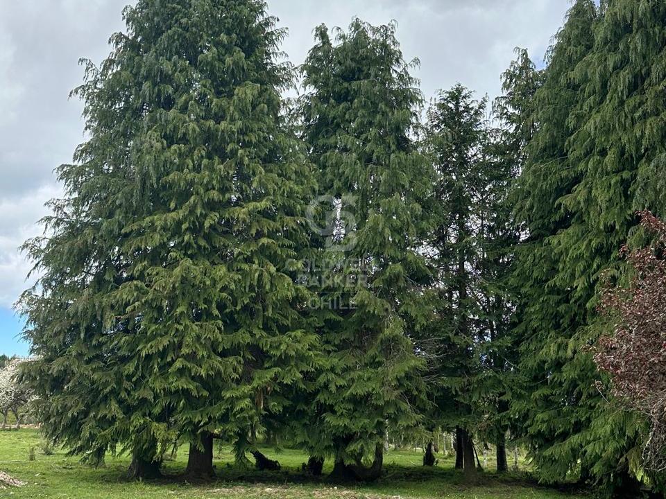 Maullín, Chile, ,Residential,For Sale,1994517