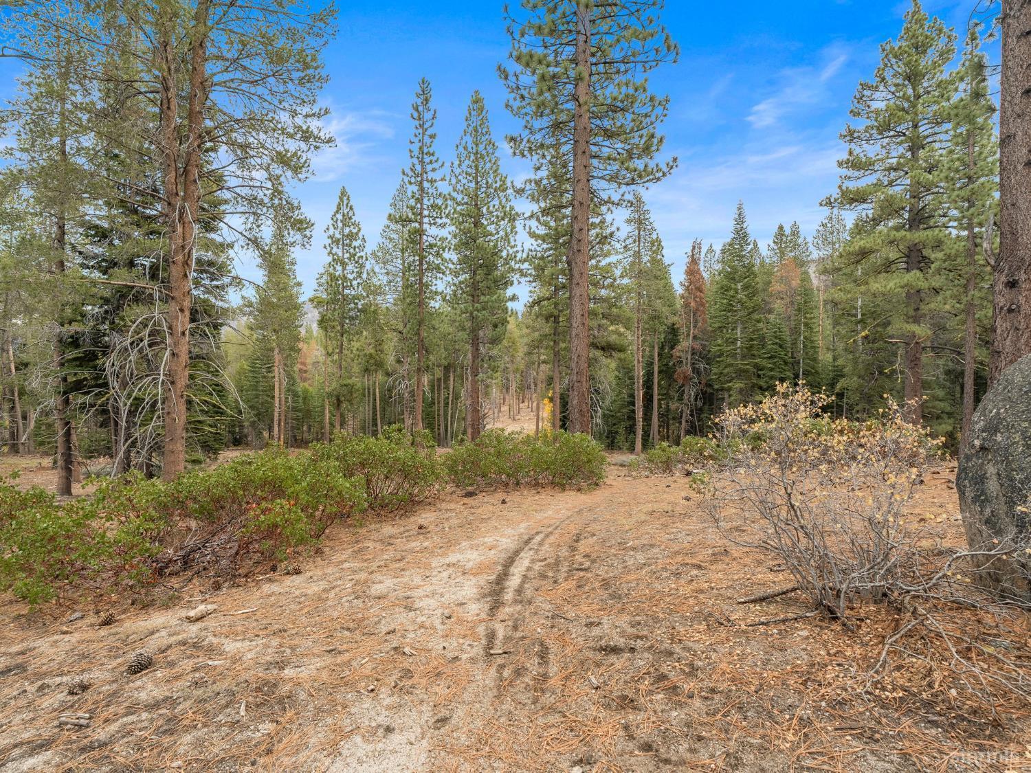 South Lake Tahoe, California, 96150, United States, 3 Bedrooms Bedrooms, ,2 BathroomsBathrooms,Residential,For Sale,1969986