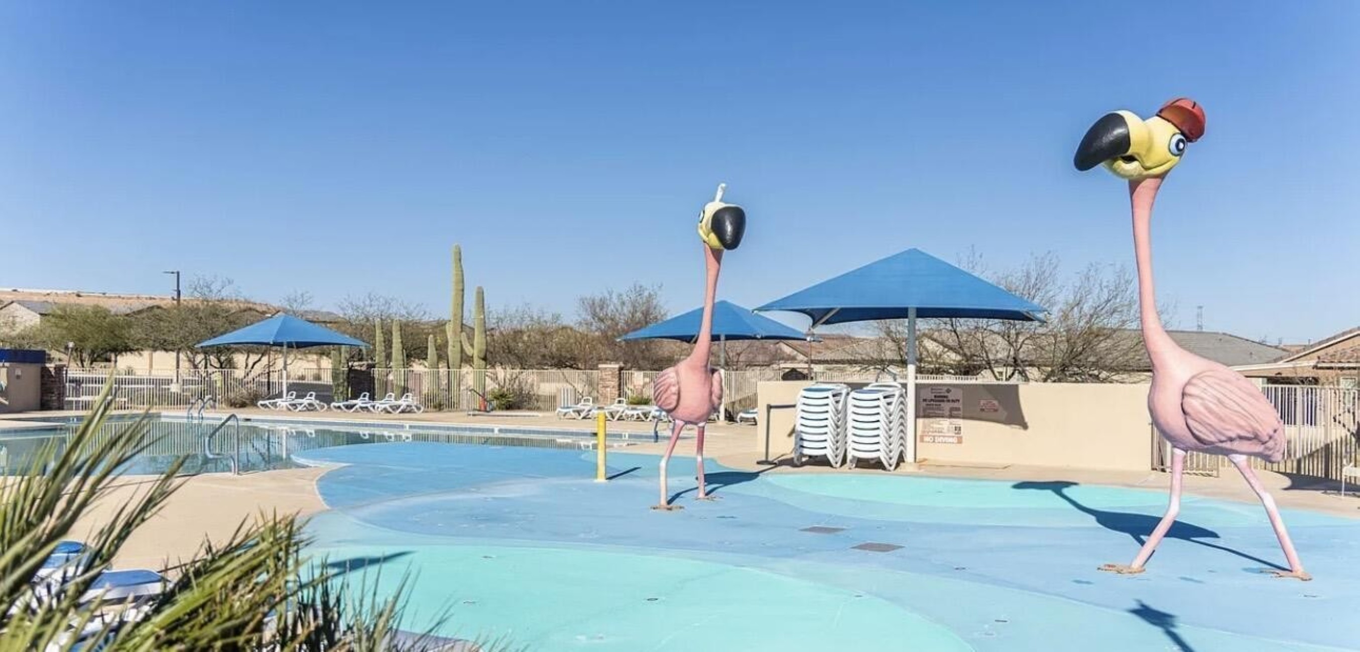  757 W Calle El Teclado, Sahuarita, AZ 85629 - 物件實景