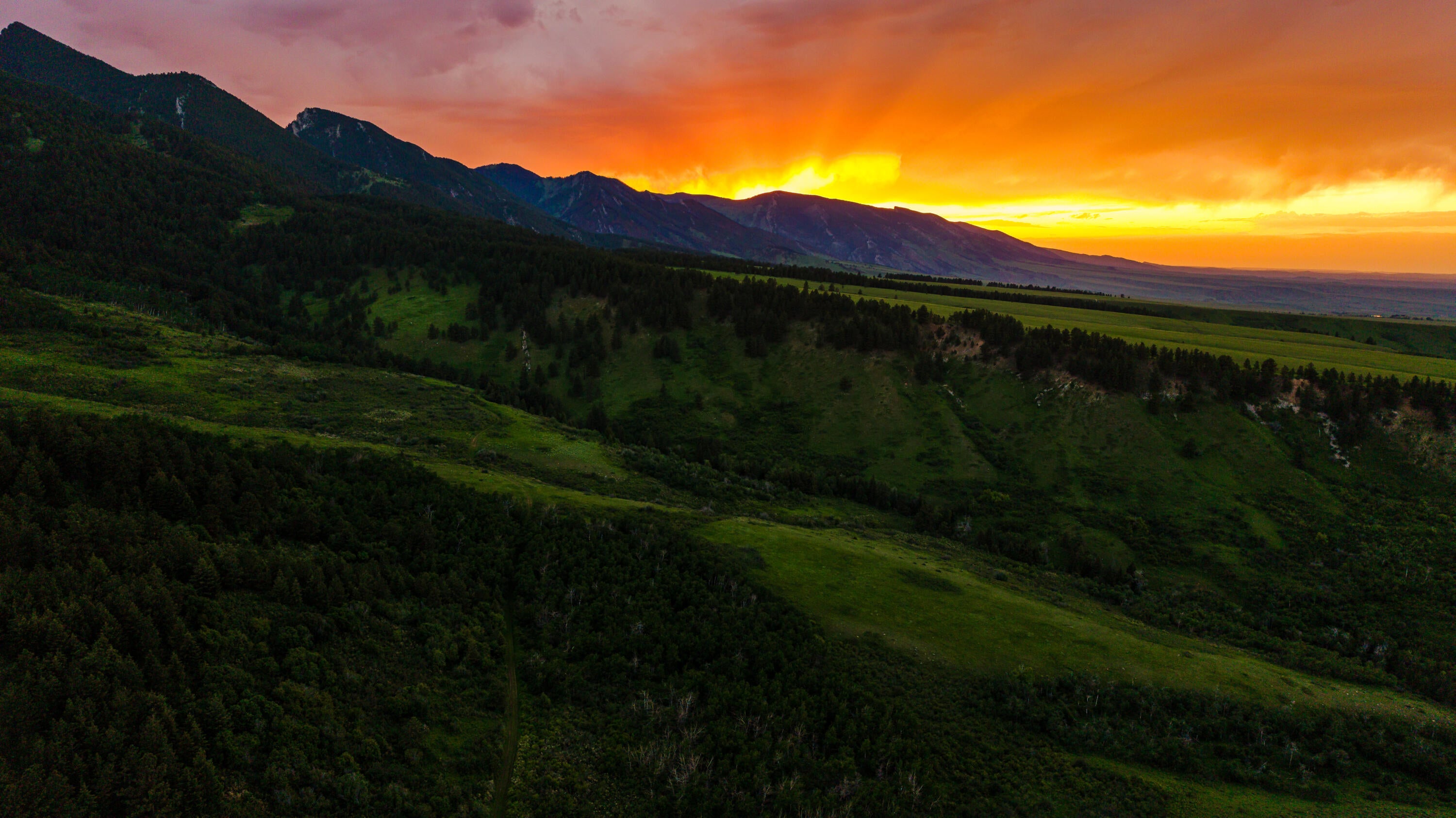 Big Horn, Wyoming, 82833, United States, ,Residential,For Sale,2011314