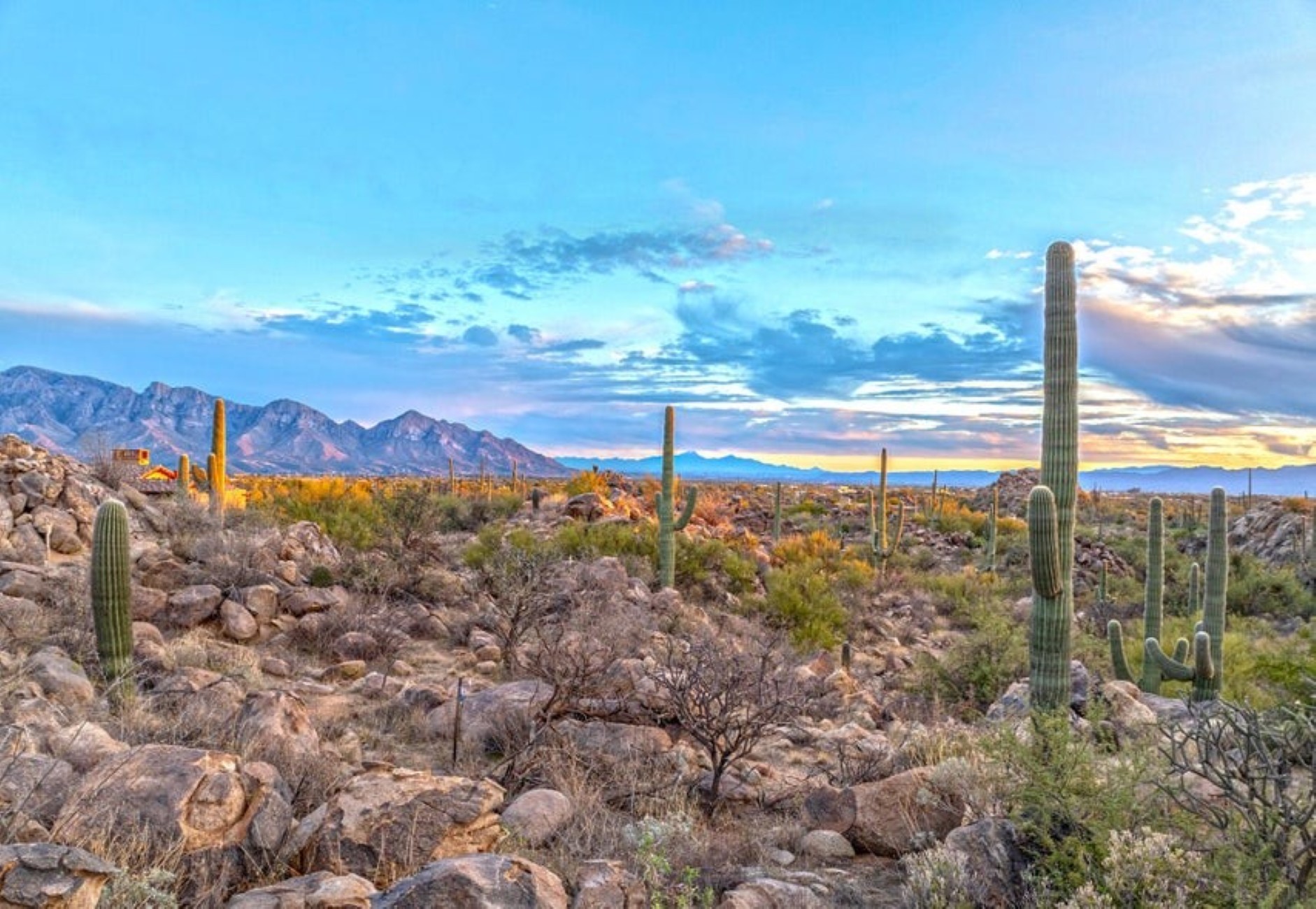  1178 Tortolita Mountain Circle 196¦Oro Valley, AZ - 物件實景