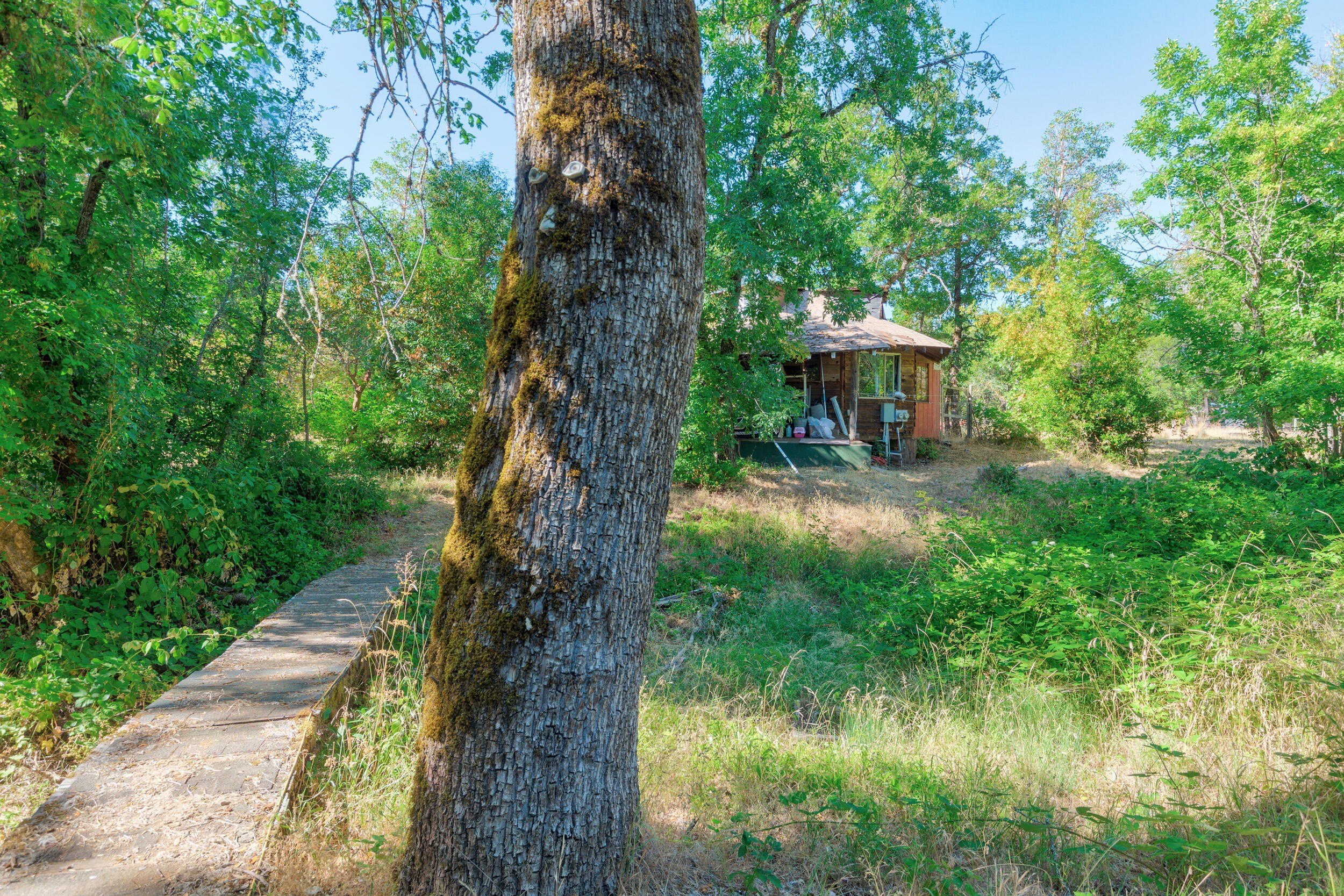 Selma, Oregon, 97538, United States, 3 Bedrooms Bedrooms, ,2 BathroomsBathrooms,Residential,For Sale,1980264