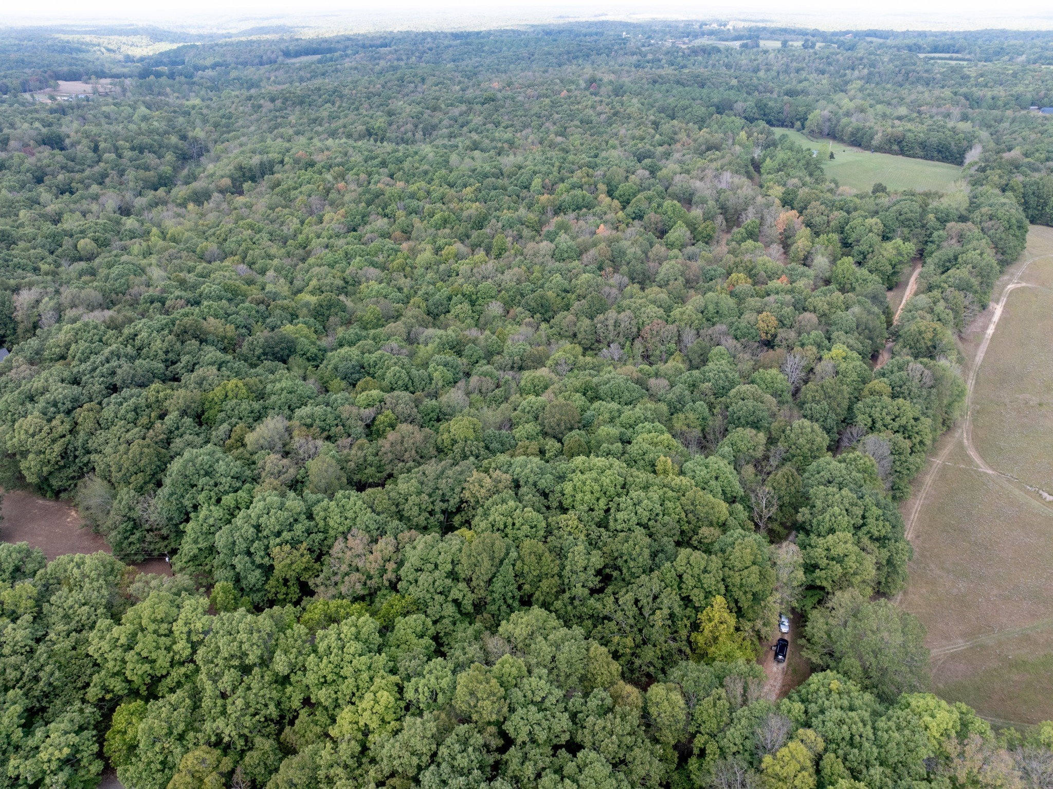 Mc Ewen, Tennessee, 37101, United States, ,Residential,For Sale,1923664
