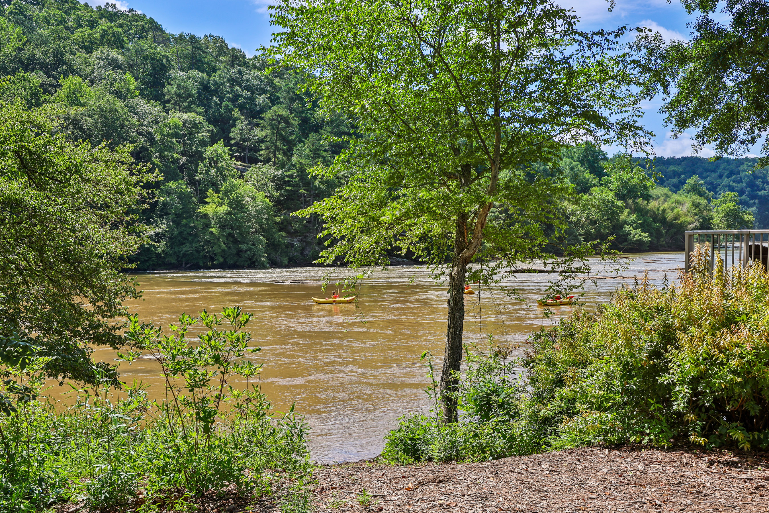  Rare Waterfront Living on the Chattahoochee River - 物件實景