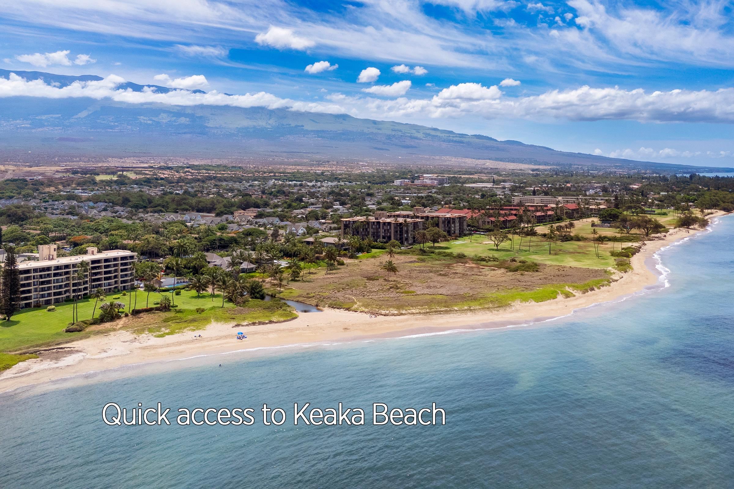 Kihei, Hawaii, 96753, United States, 1 Bedroom Bedrooms, ,1 BathroomBathrooms,Residential,For Sale,1927140
