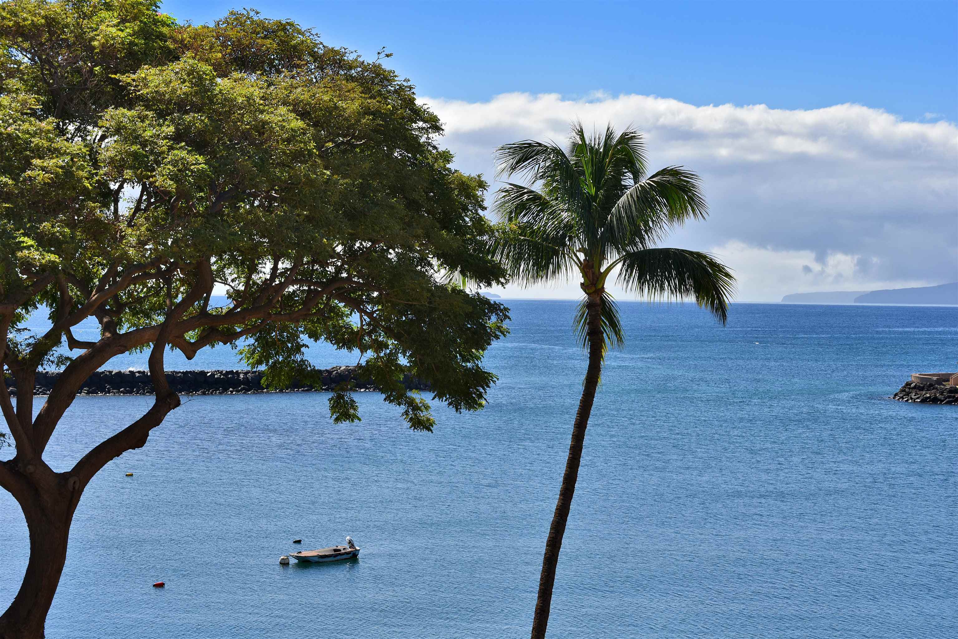 Wailuku, Hawaii, 96793, United States, 1 Bedroom Bedrooms, ,1 BathroomBathrooms,Residential,For Sale,1990319