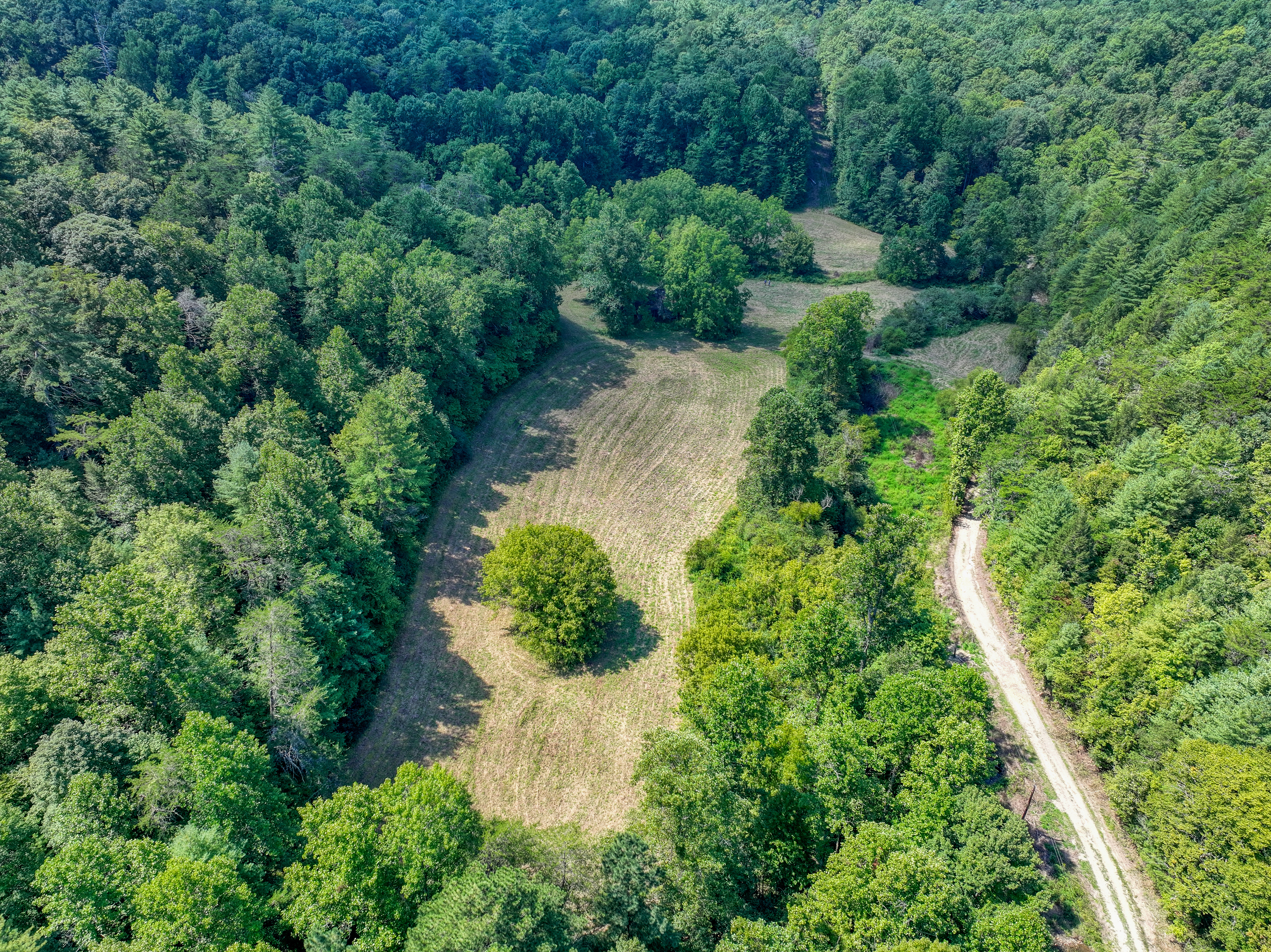  Belcher Loop, Tellico Plains, TN 37385 - 物件實景