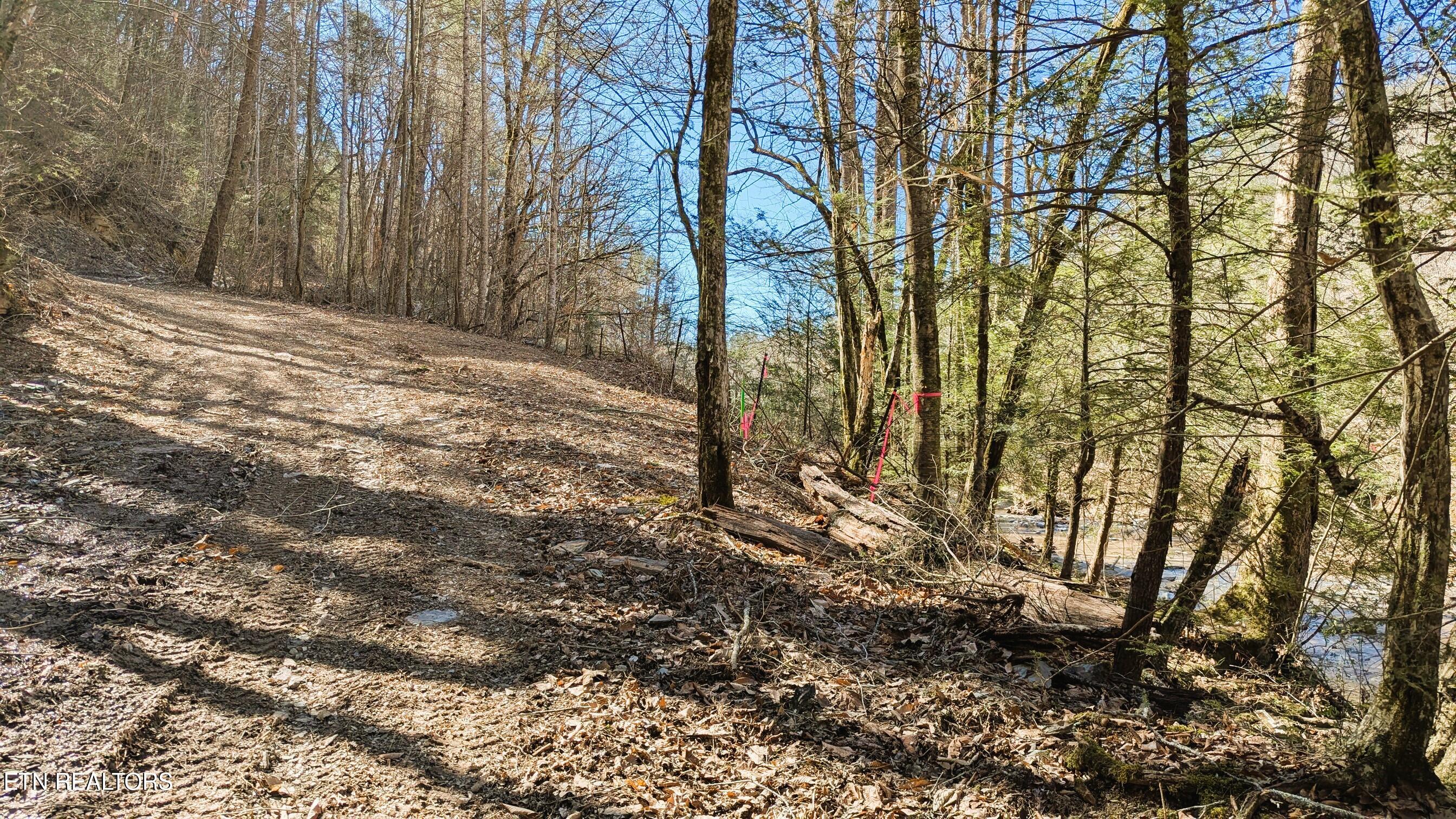 Townsend, Tennessee, 37882, United States, ,Land,For Sale,1978973