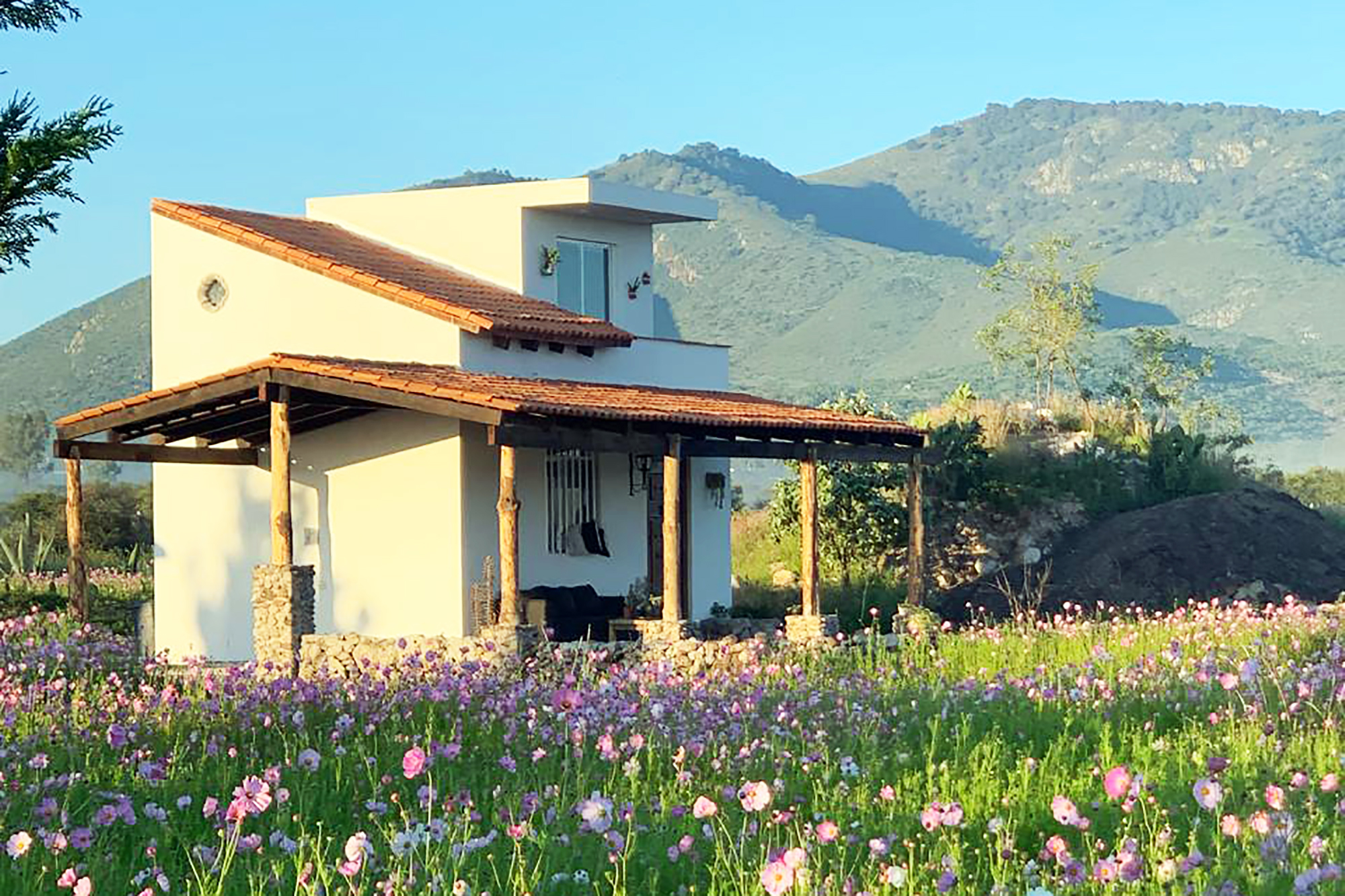  Finca Patanegra on the Road to Jalpa - 物件實景