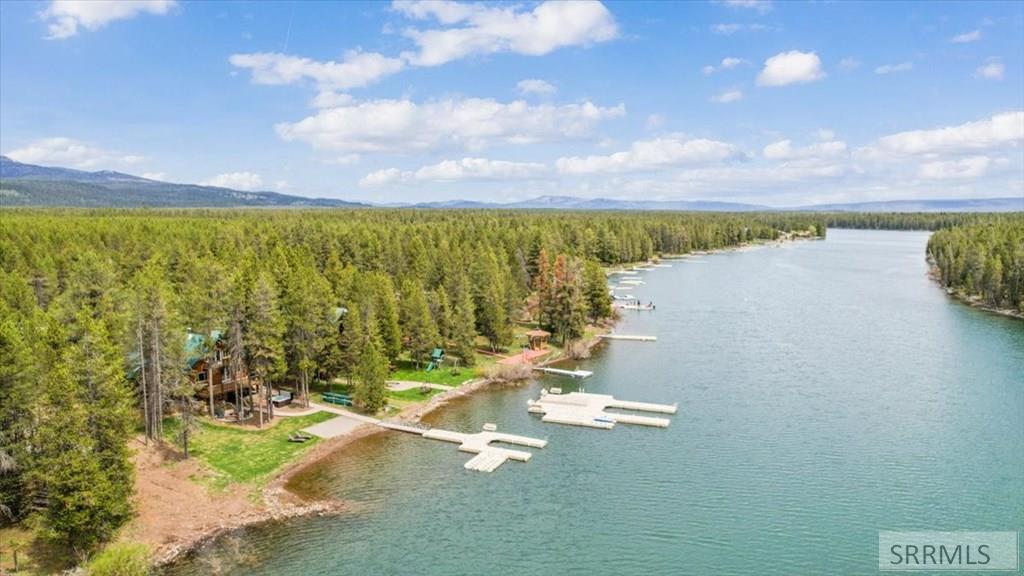 ISLAND PARK, Idaho, 83429, United States, 5 Bedrooms Bedrooms, ,3 BathroomsBathrooms,Residential,For Sale,2049081