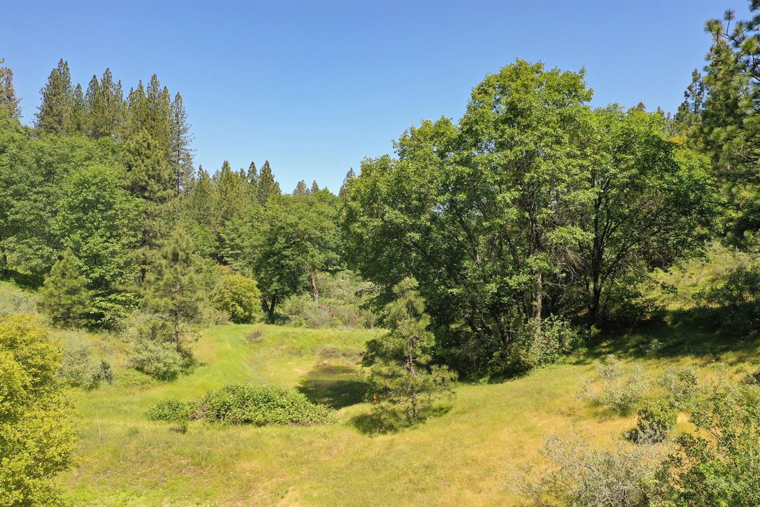 Grass Valley, California, 95949, United States, 3 Bedrooms Bedrooms, ,3 BathroomsBathrooms,Residential,For Sale,1842602