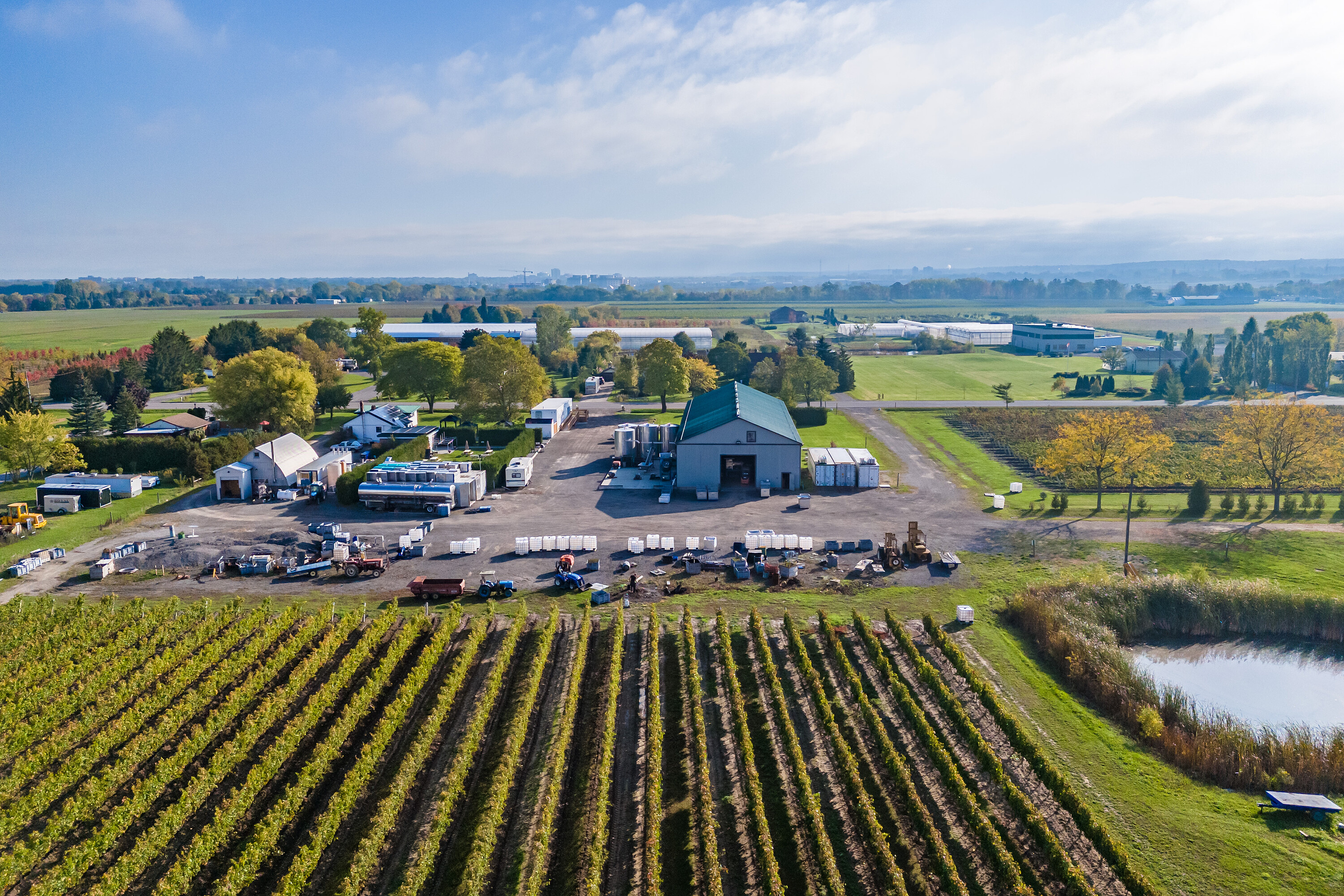  Fully Established Vineyard - 物件實景
