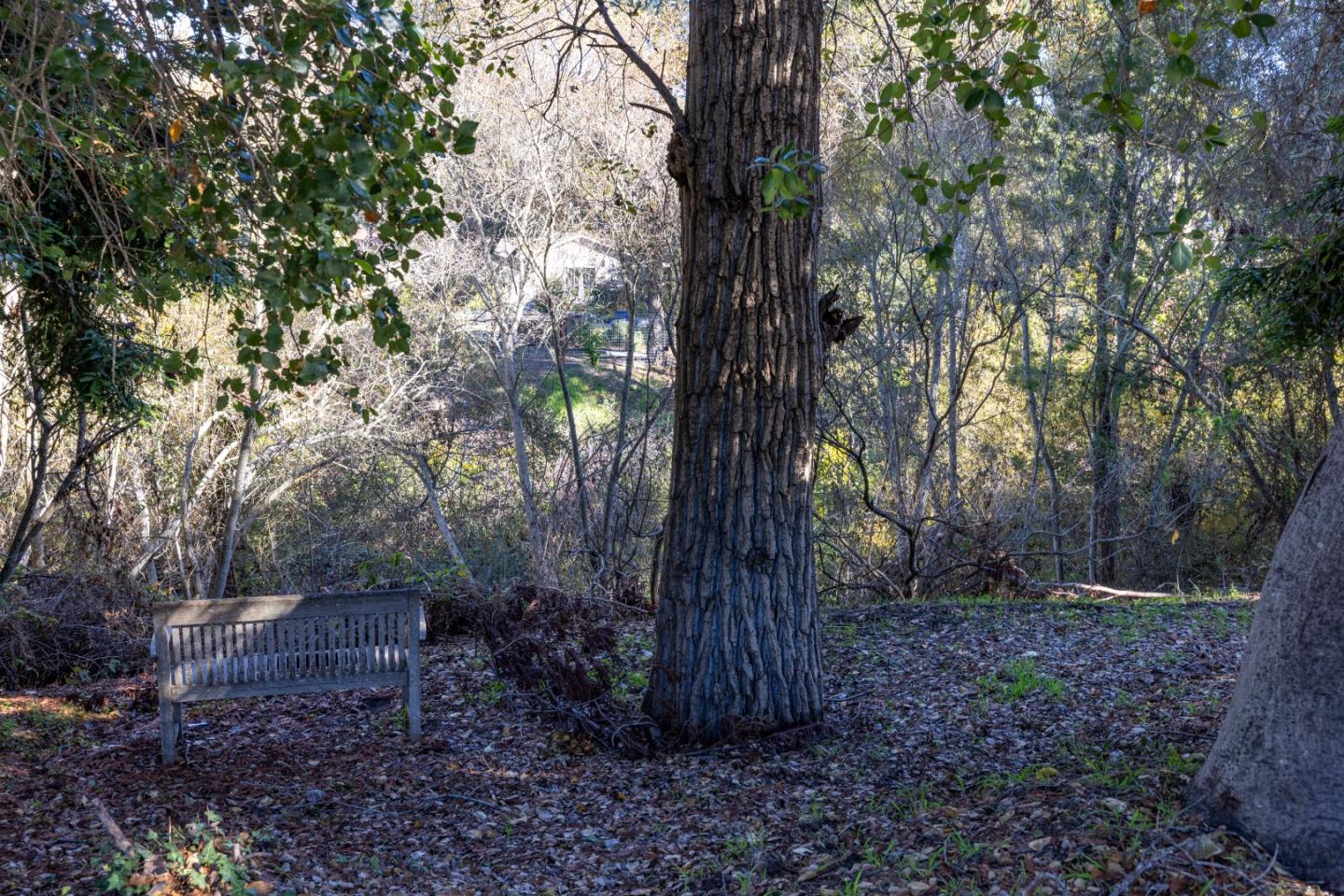 Carmel, California, 93923, United States, 2 Bedrooms Bedrooms, ,2 BathroomsBathrooms,Residential,For Sale,2003390