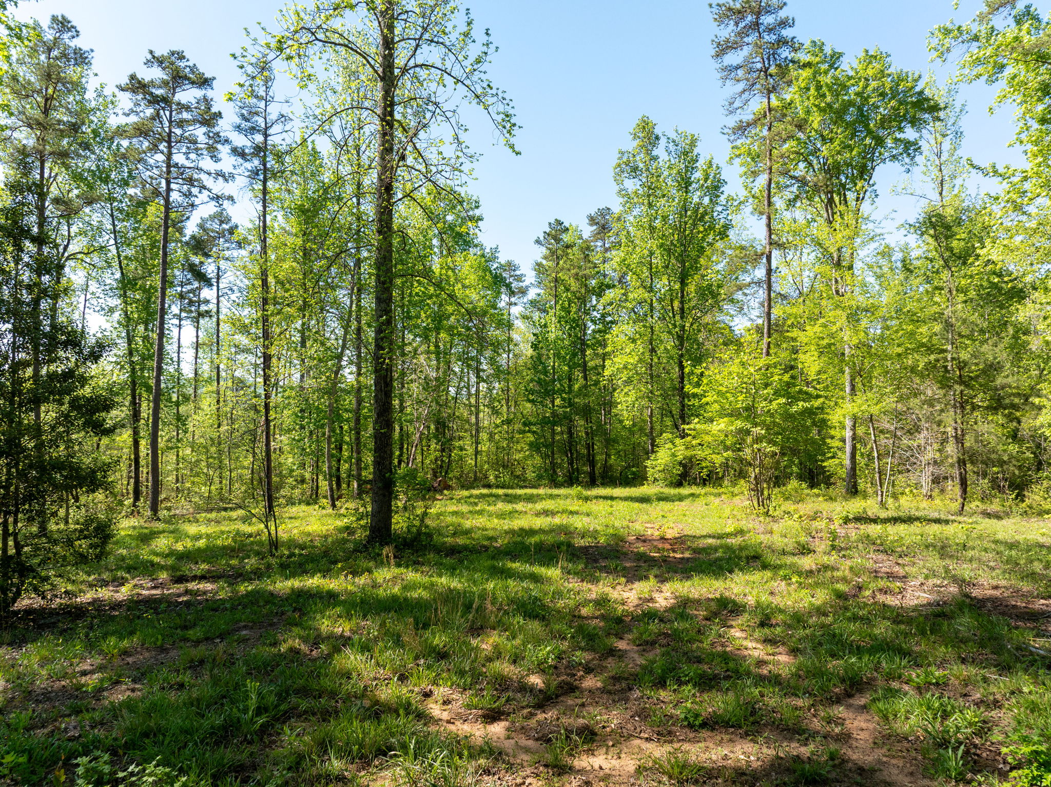  118 Harris Road, Pickens, SC 29671 - 物件實景
