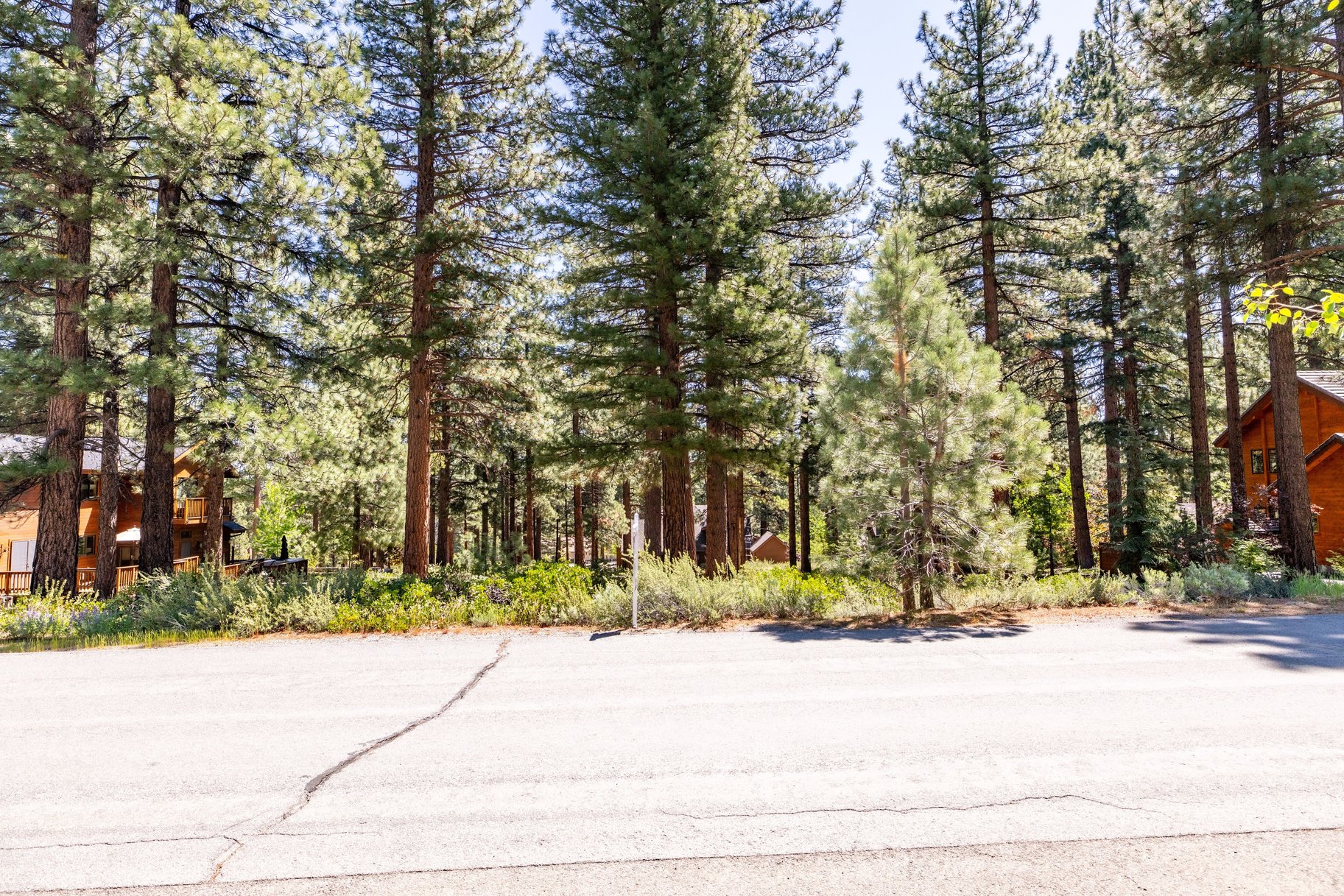  Private Galena Forest Parcel Near Mt. Rose with Pines & Tahoe Access - 物件實景