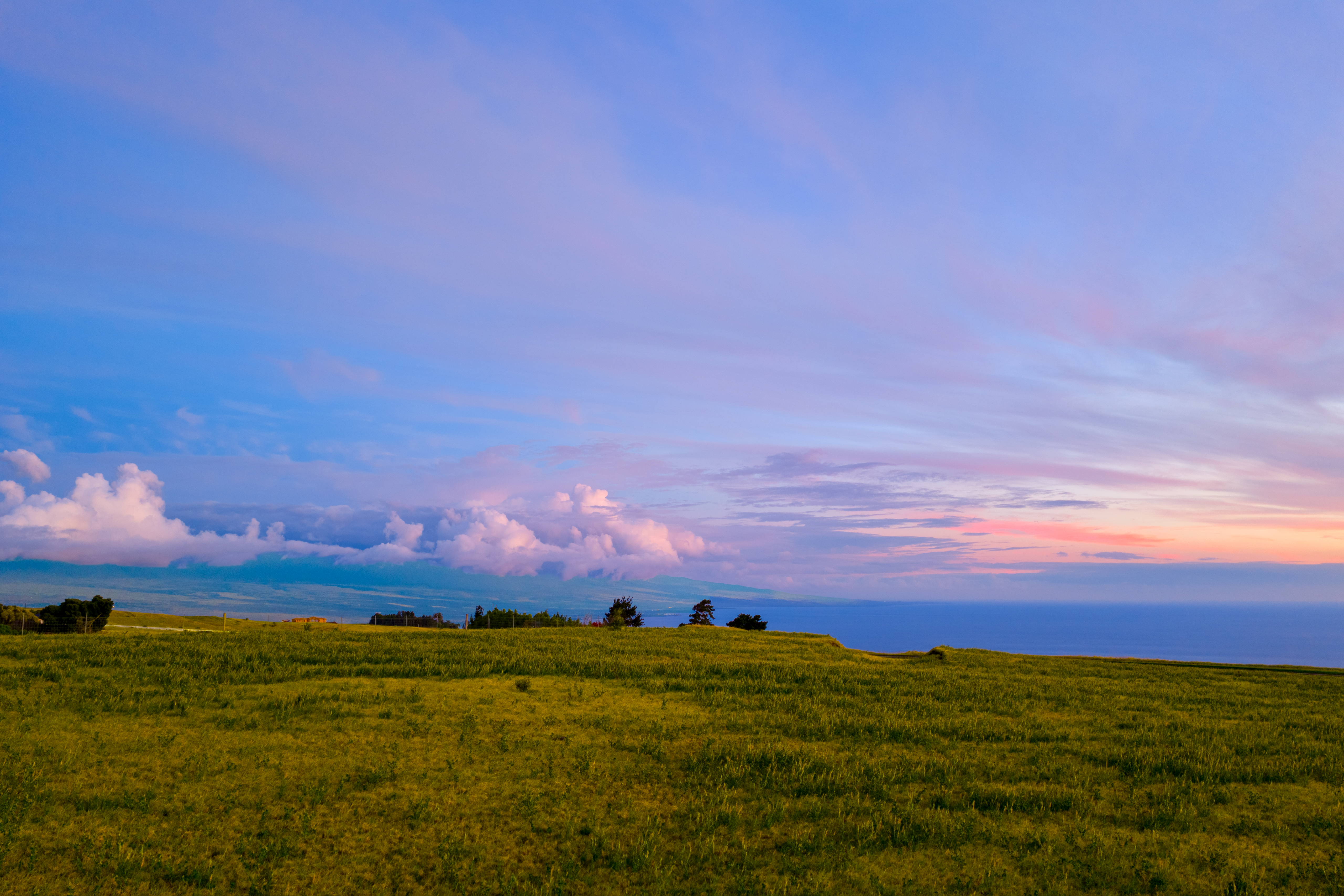  695 Ualani Pl, Kamuela, HI, 96743 - 物件實景