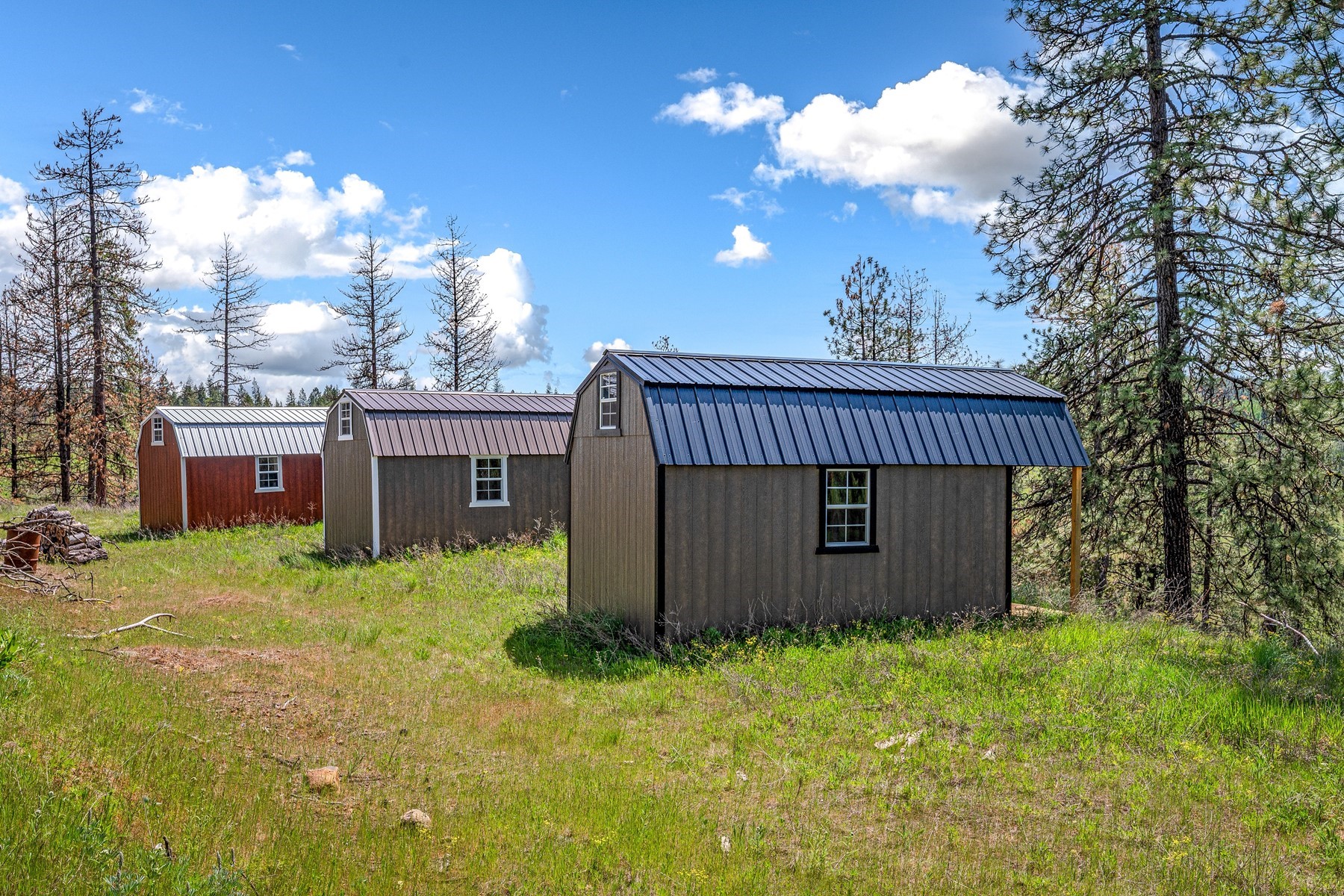  Cabins on 17ac. Surrounded by Lumber Land - 物件實景