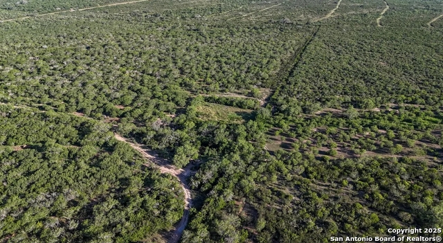 Beeville, Texas, 78102, United States, ,Land,For Sale,1988110