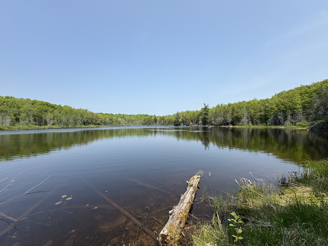 Oma, Wisconsin, 54534, United States, ,Residential,For Sale,1920346