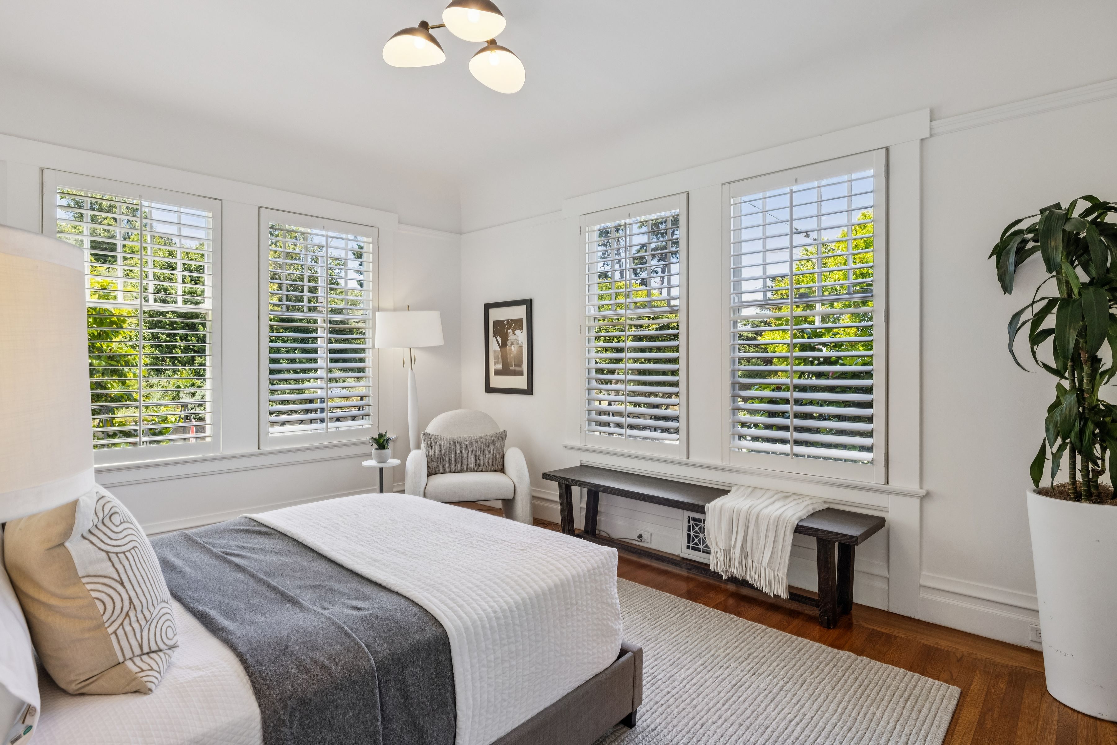  Cow Hollow Edwardian with Presidio Views - 物件實景