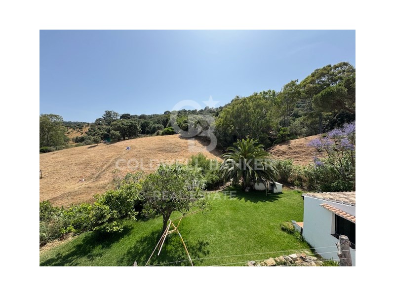 Casares, Andalusia, ES, 4 Bedrooms Bedrooms, ,2 BathroomsBathrooms,Residential,For Sale,1874856