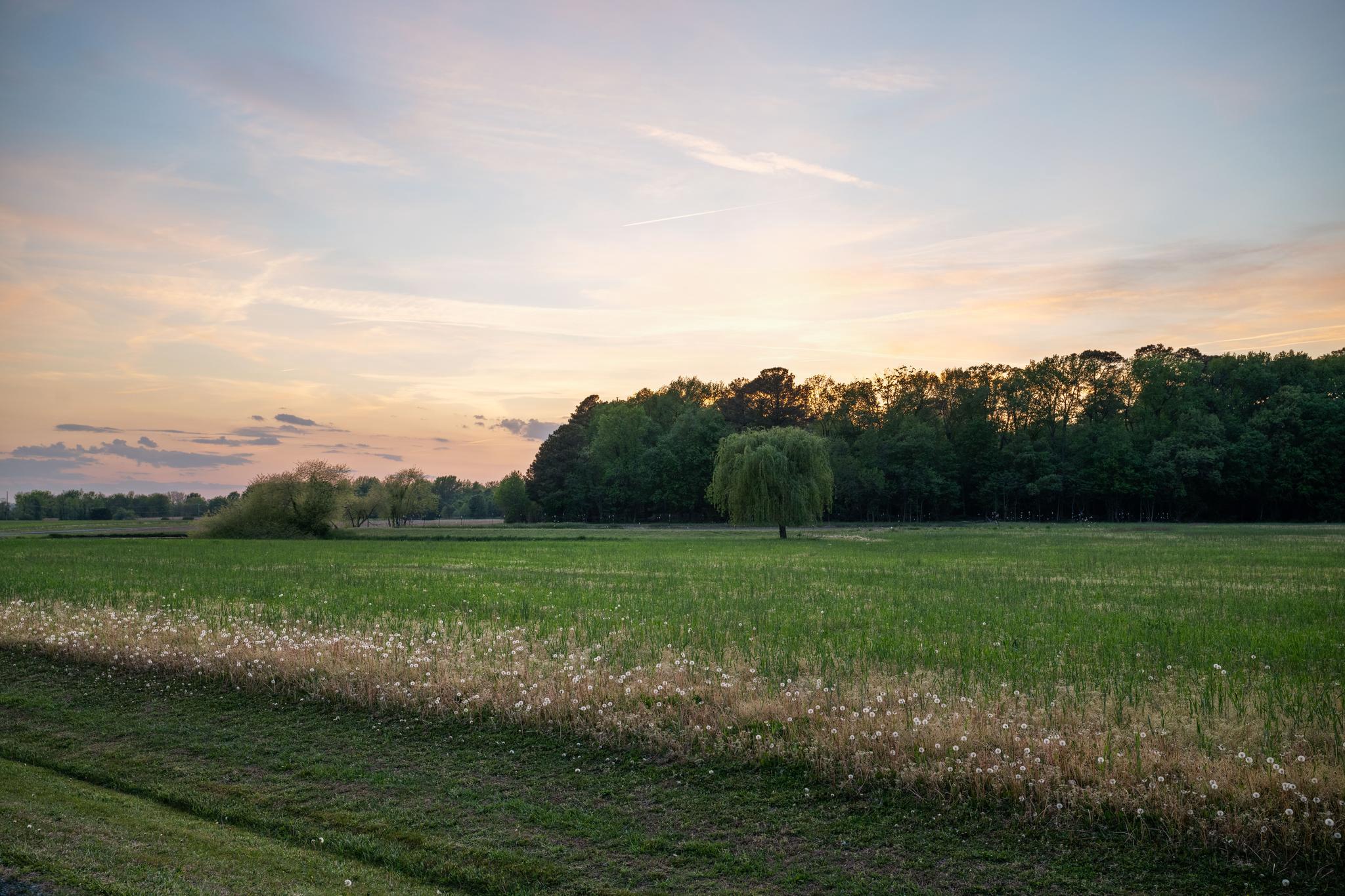  330 Serenity Lane, Chester, MD, 21619 - 物件實景