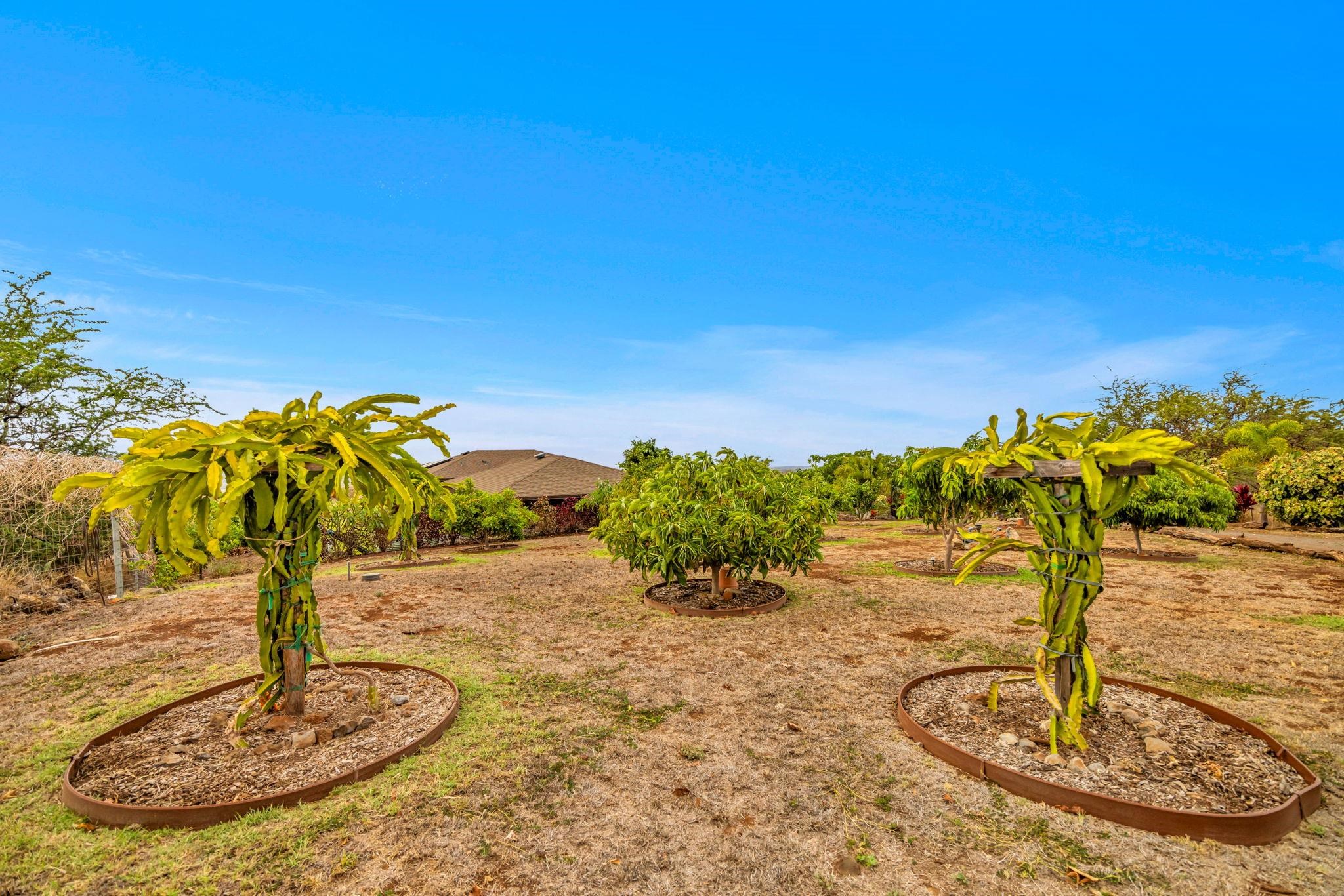 Kula, Hawaii, 96790, United States, 2 Bedrooms Bedrooms, ,2 BathroomsBathrooms,Residential,For Sale,1990288