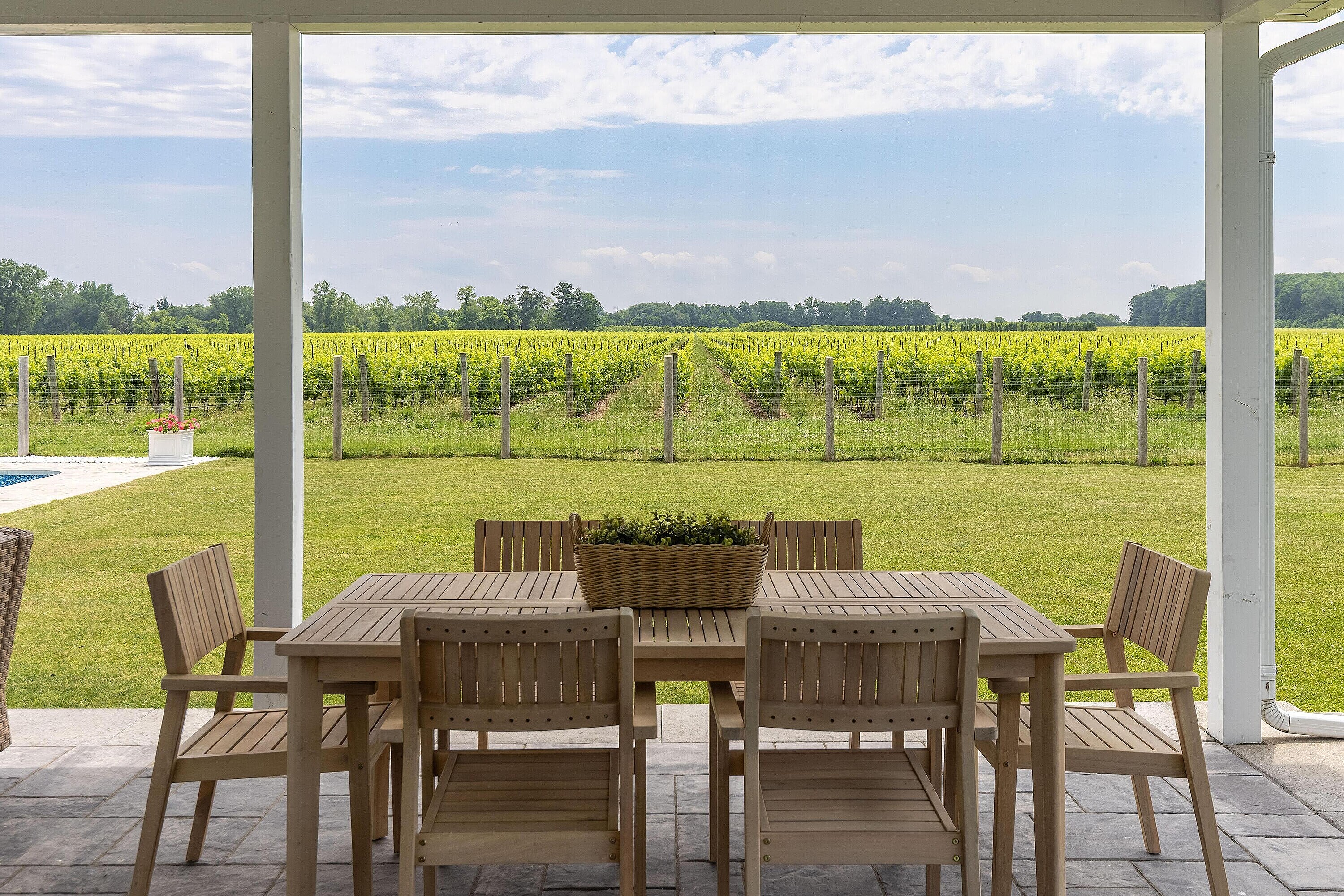  Luxury Vineyard Living - 物件實景