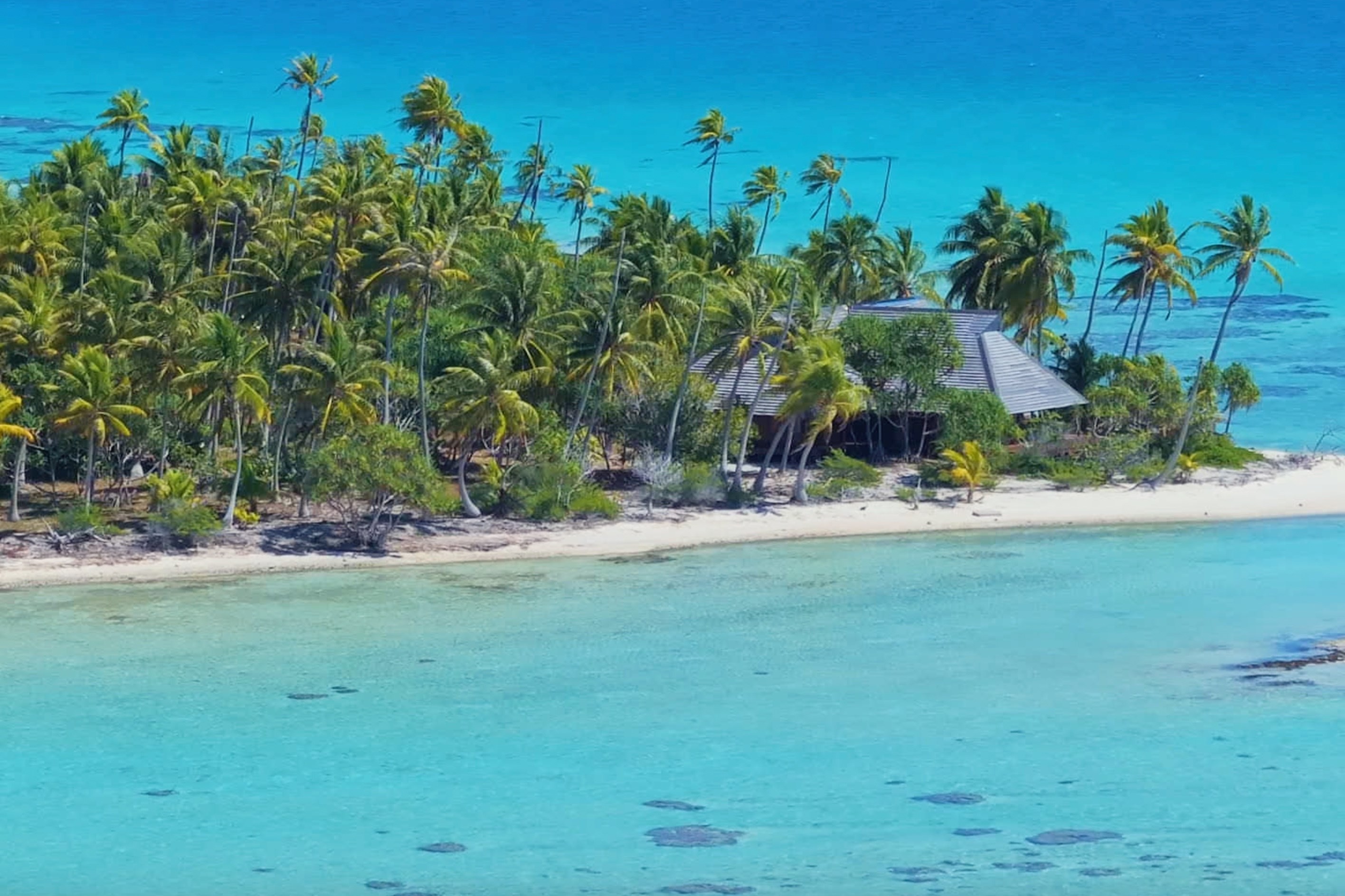  Tuamotu - Rangiroa - A private island to be reinvented - 物件實景