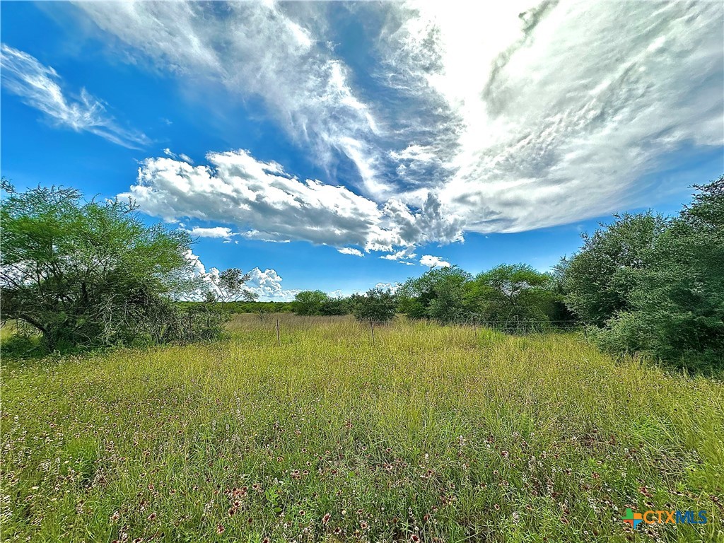 Nursery, Texas, 77976, United States, ,Land,For Sale,1885536