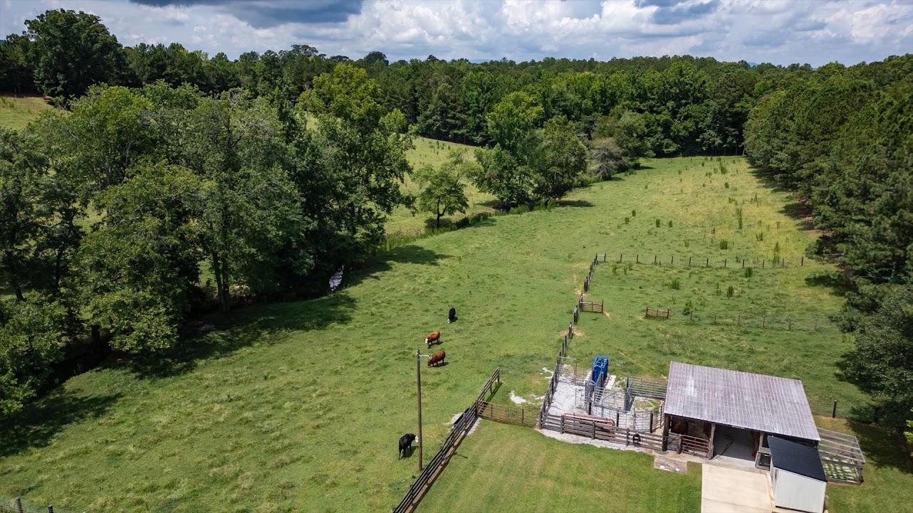 Heflin, Alabama, 36264, United States, ,Land,For Sale,1981342