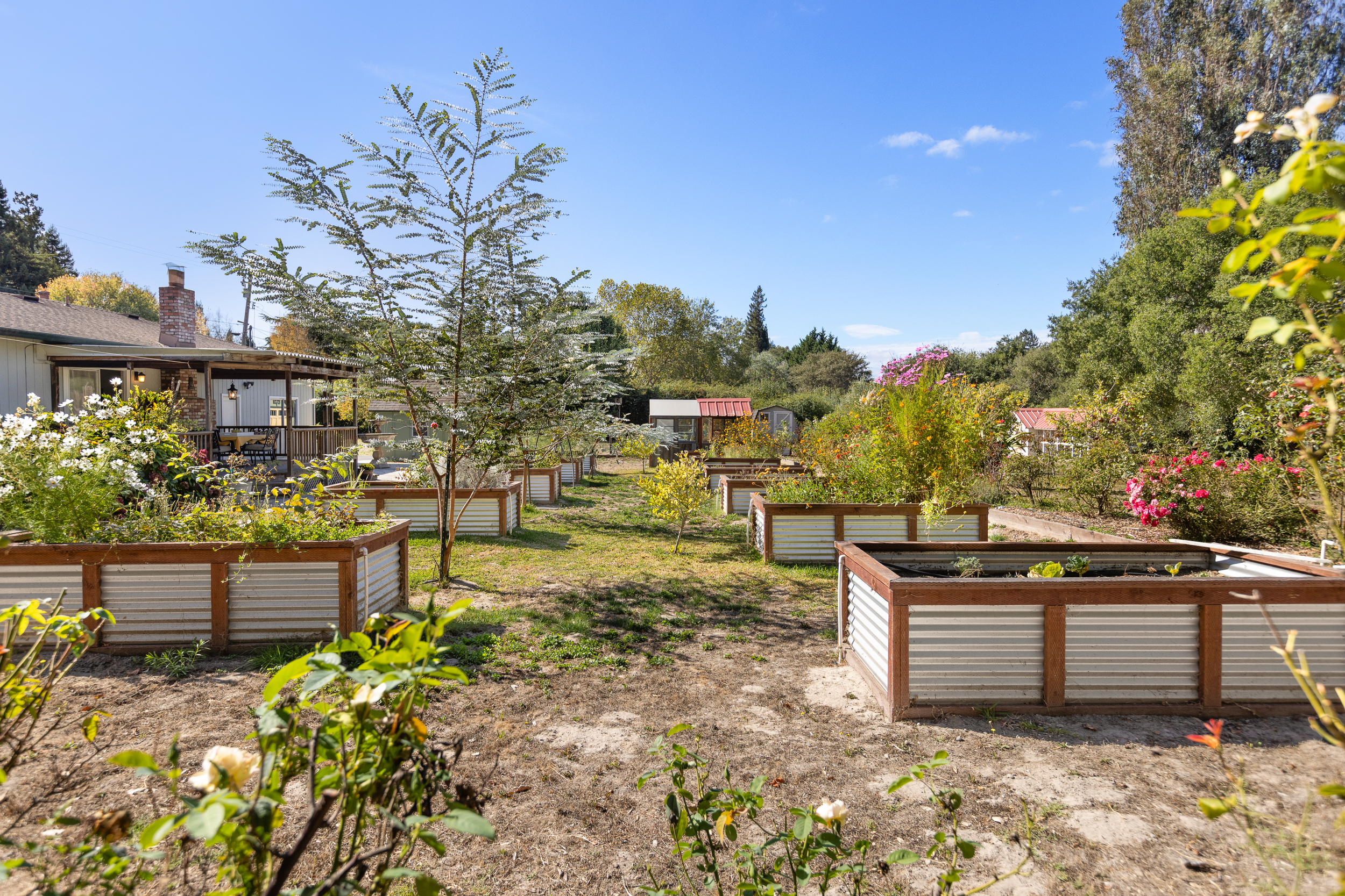  Country Charm, Creative Spaces and an Acre of Possibilities in Sebastopol - 物件實景