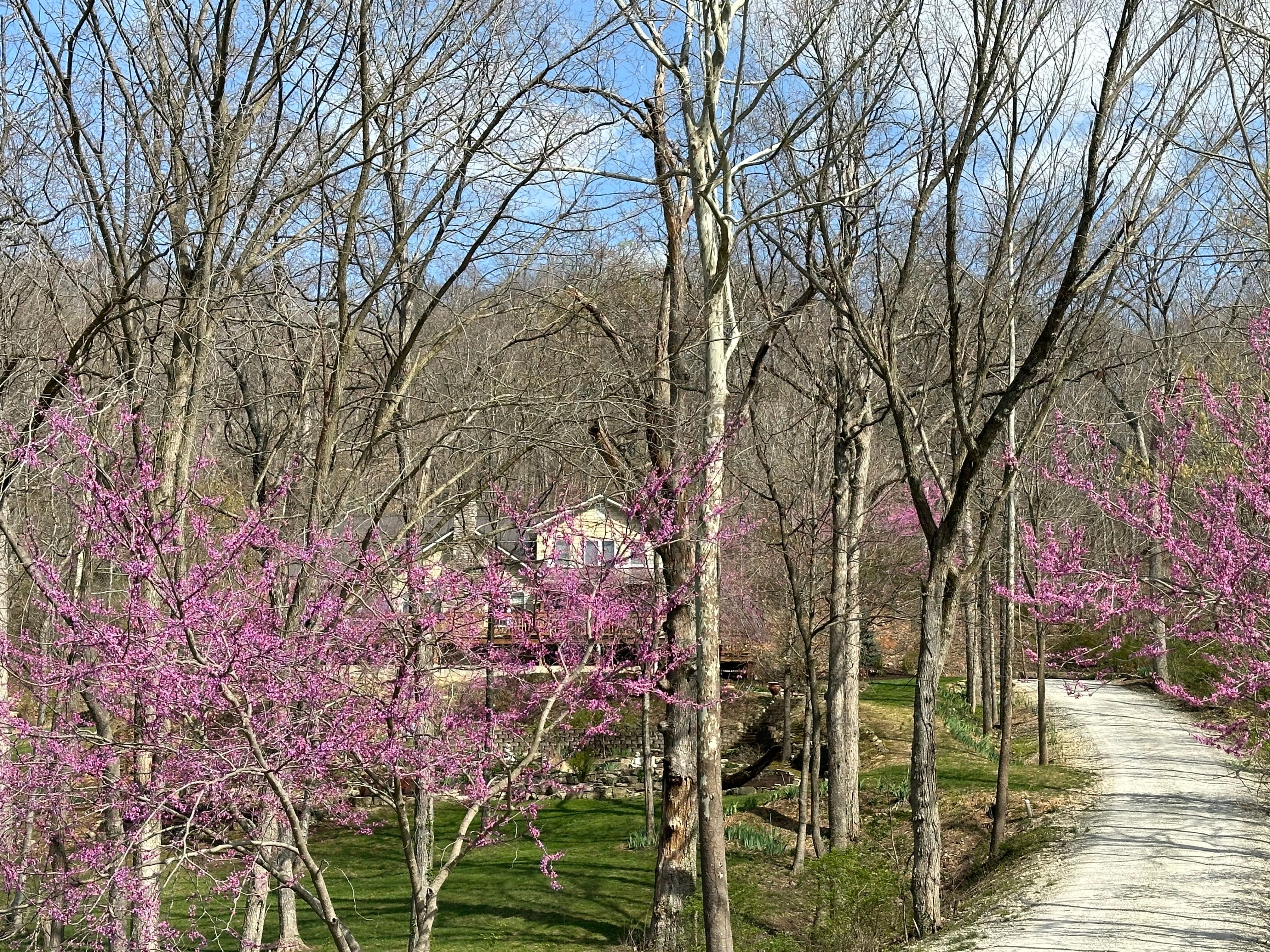  Exceptional 10-Acre Equestrian Retreat with Scenic Views & Modern Comforts - 物件實景