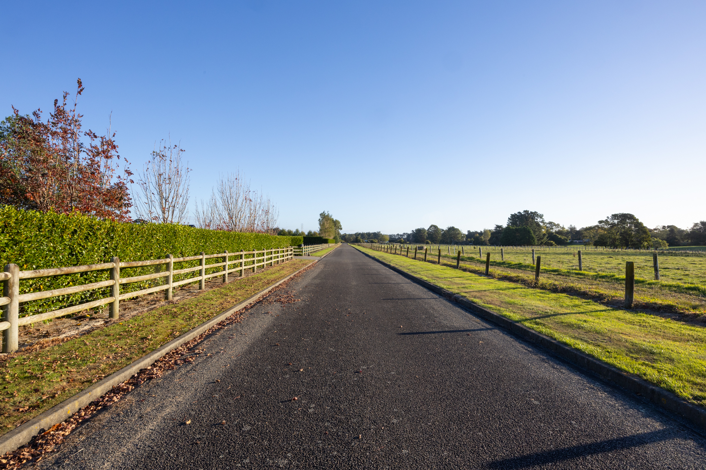  Uninterrupted Views – New Executive Living - 物件實景