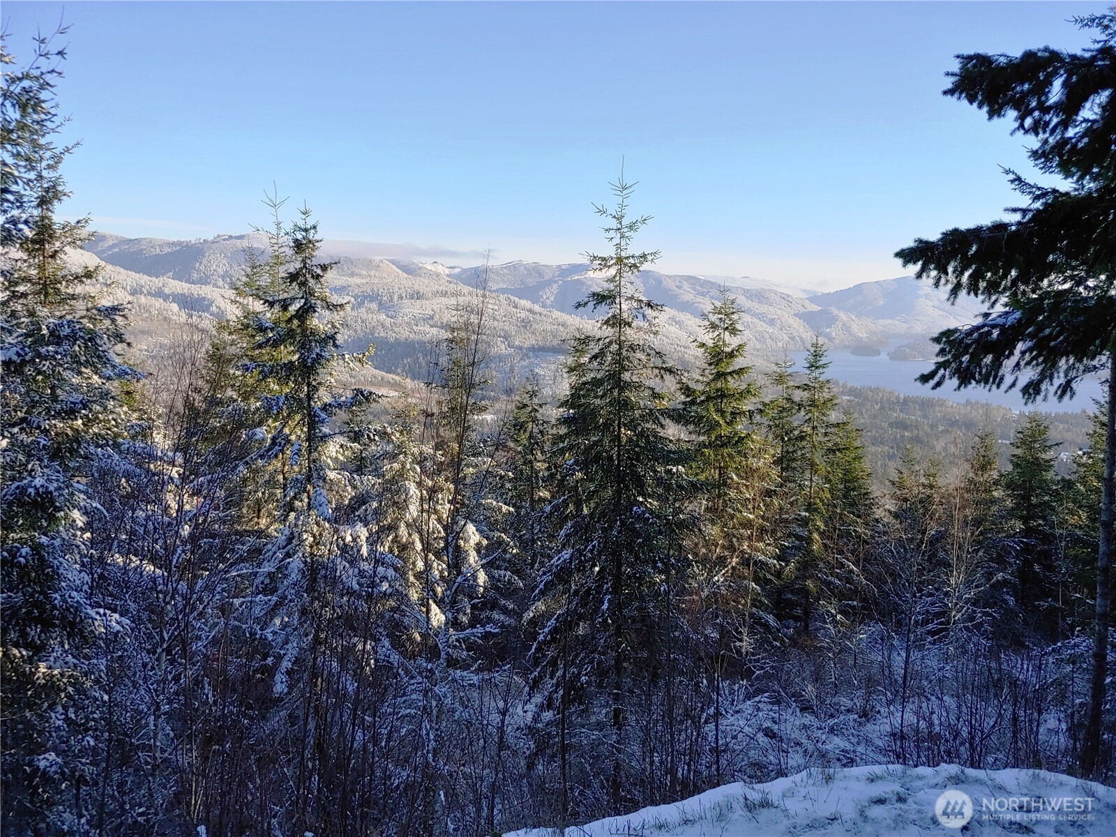 Bellingham, Washington, 98226, United States, ,Land,For Sale,1848281