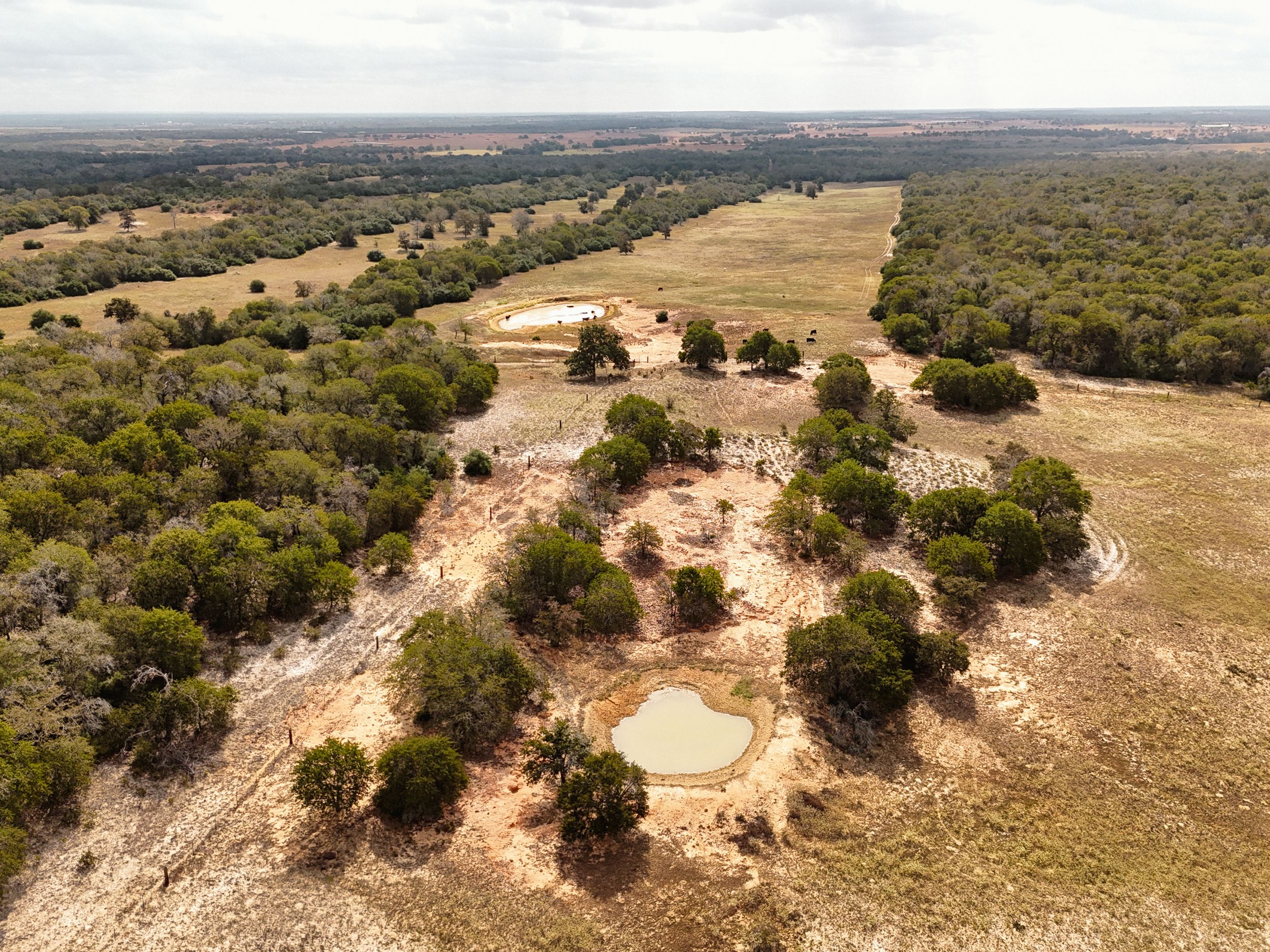  860+/- Acre PQR Ranch in Gonzales County - 物件實景