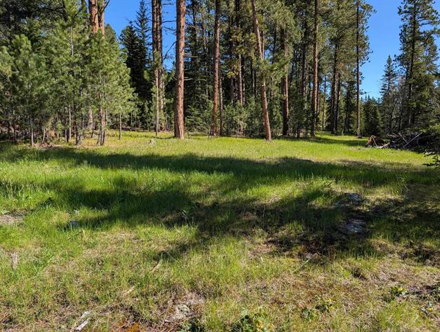 Lead, South Dakota, 57754, United States, 3 Bedrooms Bedrooms, ,1 BathroomBathrooms,Residential,For Sale,1888159