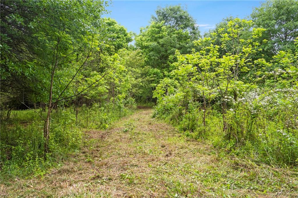 Alpharetta, Georgia, 30004, United States, ,Land,For Sale,1793114